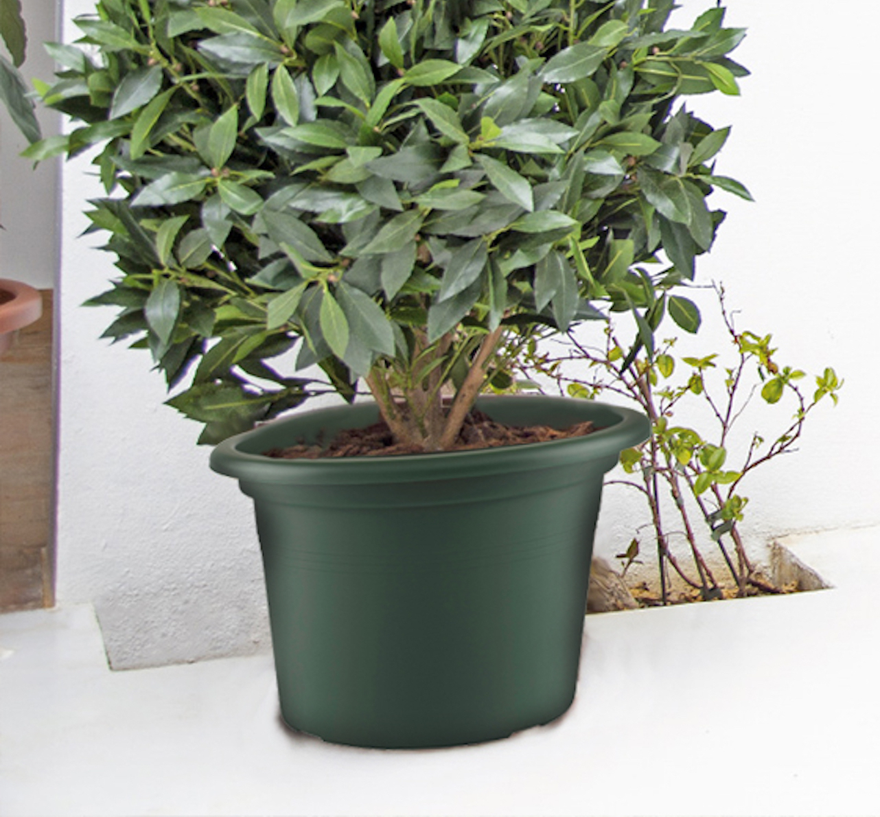 5600442802351_3.jpg 2644d561d725911b8add0d81208cc149