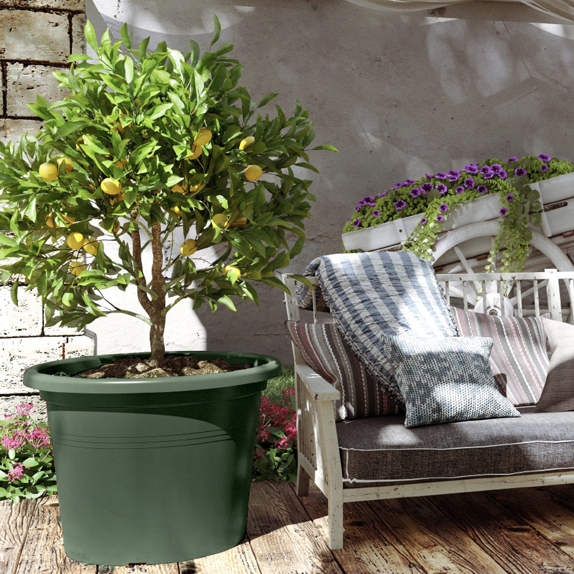 5600442802351_4.jpg 5df7efeed82c243c8bf927f5085f7cd3