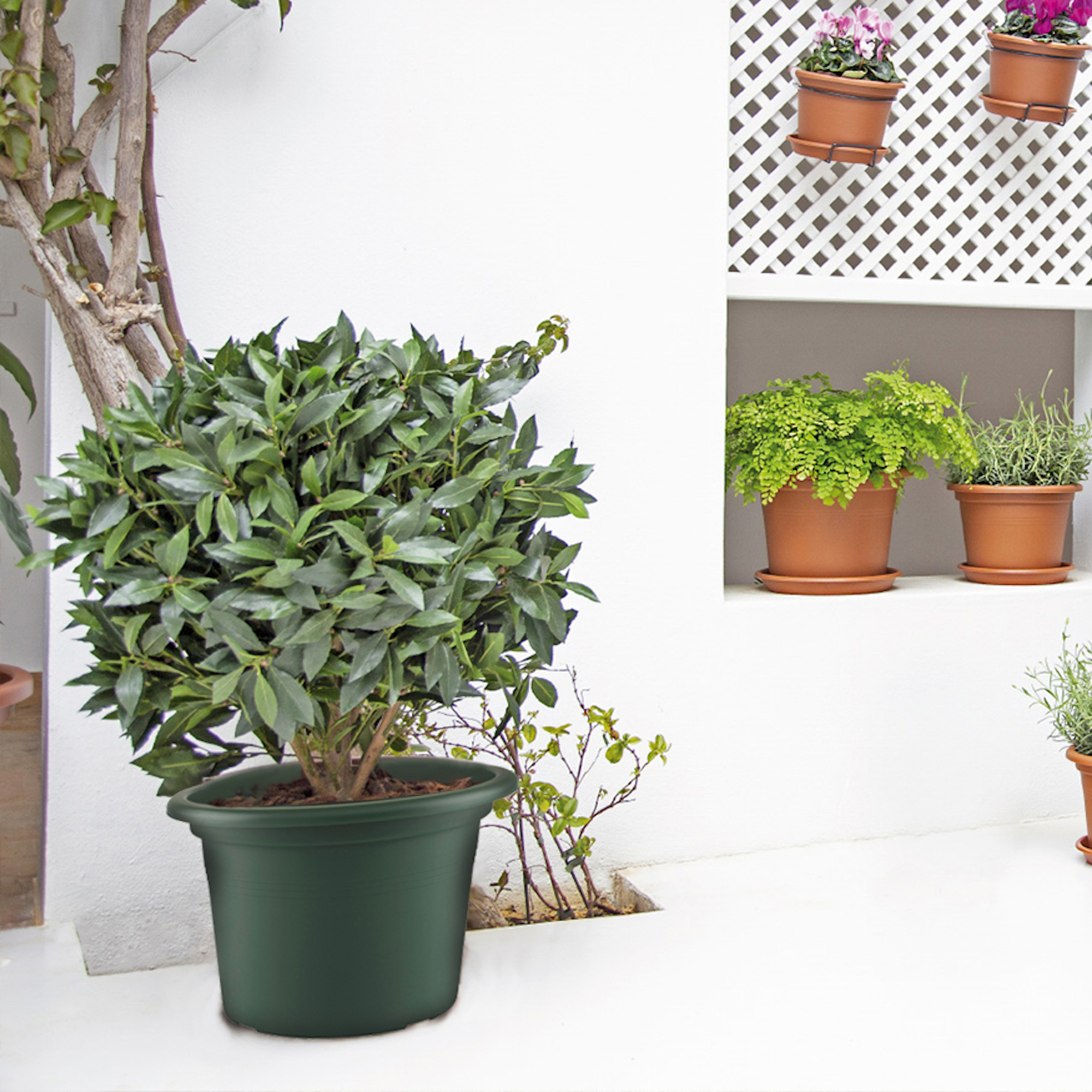 5600442802405_2.jpg 5ba850c6f2fea684dc738af6e690061c