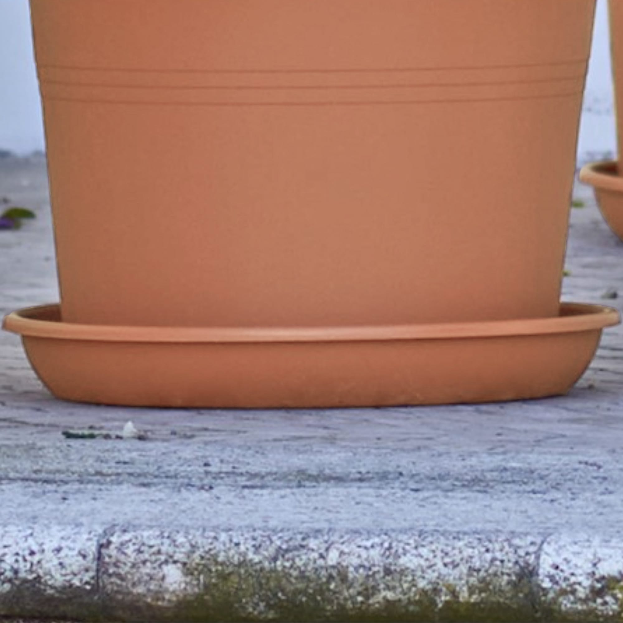 5600442804805_2.jpg 2980ec7bfdfa87bdb7fa633feff81570