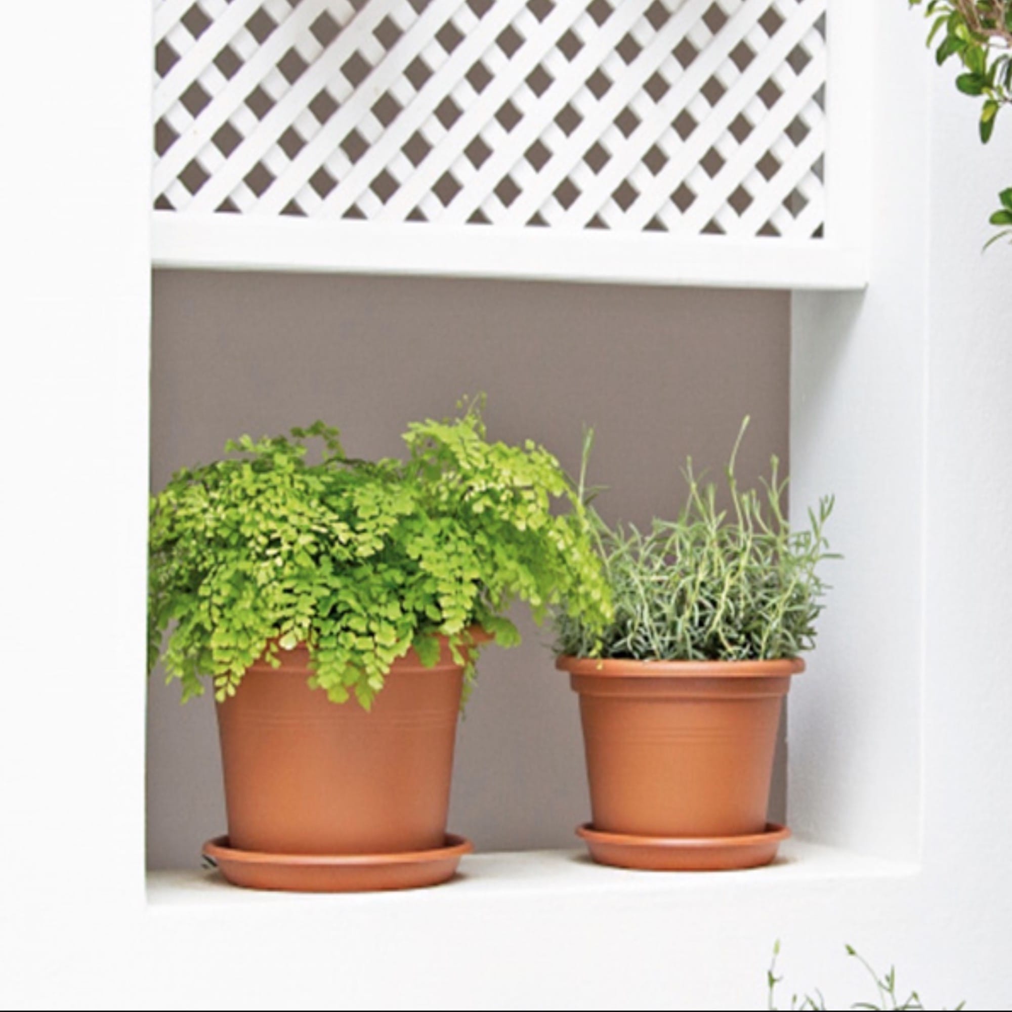 5600442804805_3.jpg 22974d86a162f9721609ccd18a9934a6