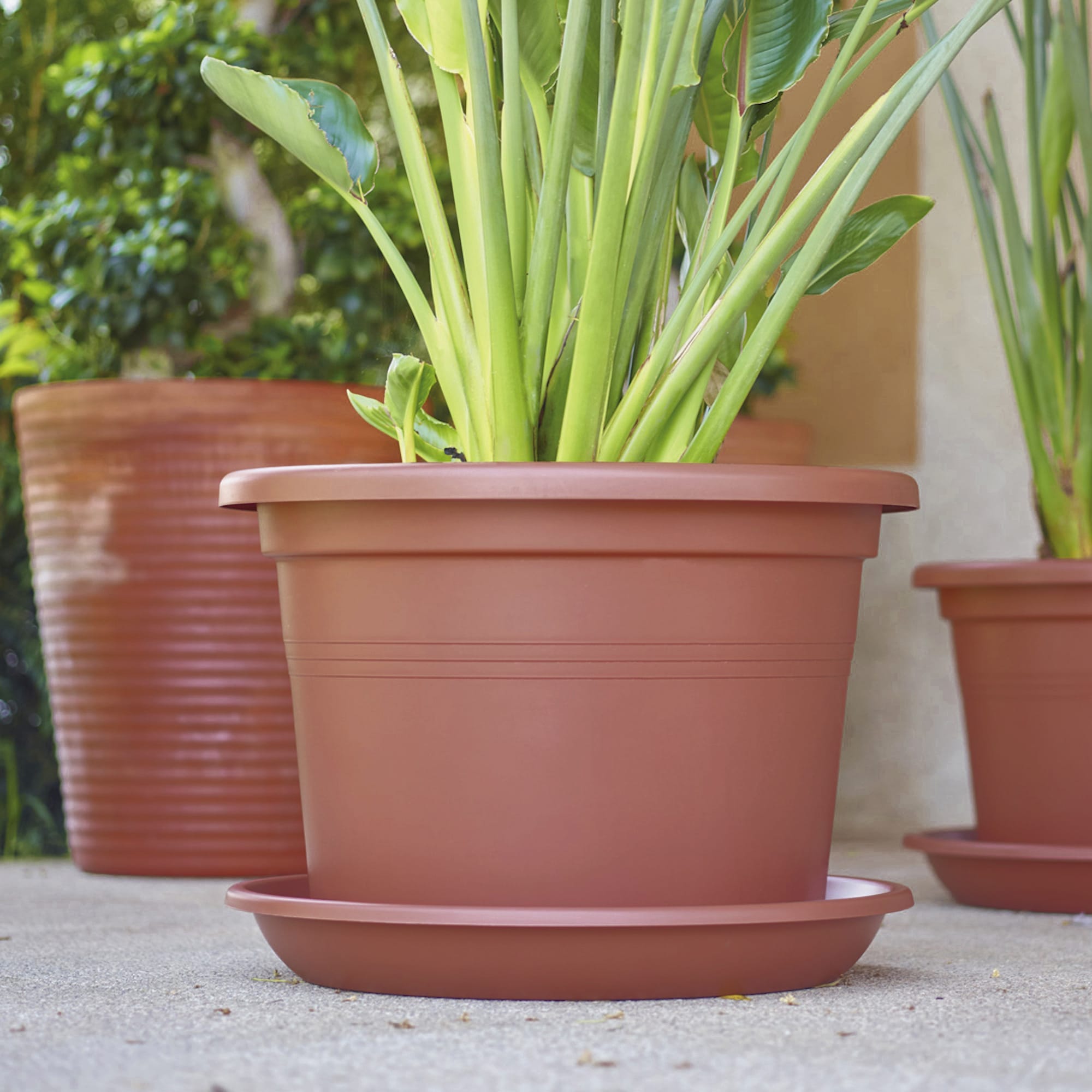 5600442804805_4.jpg a2ee76f51f2de49411ed7a1f57554bd9