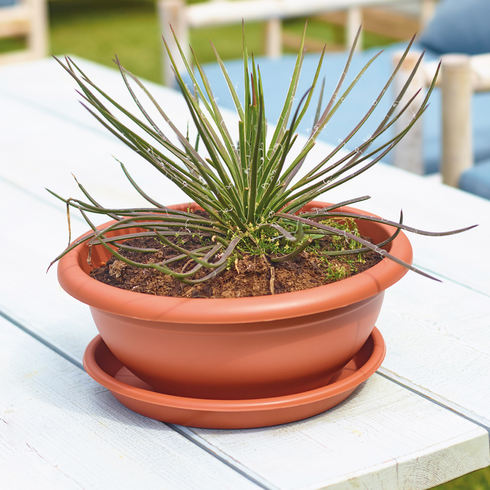 8e33e9744cf1328a880e56f847a54a28