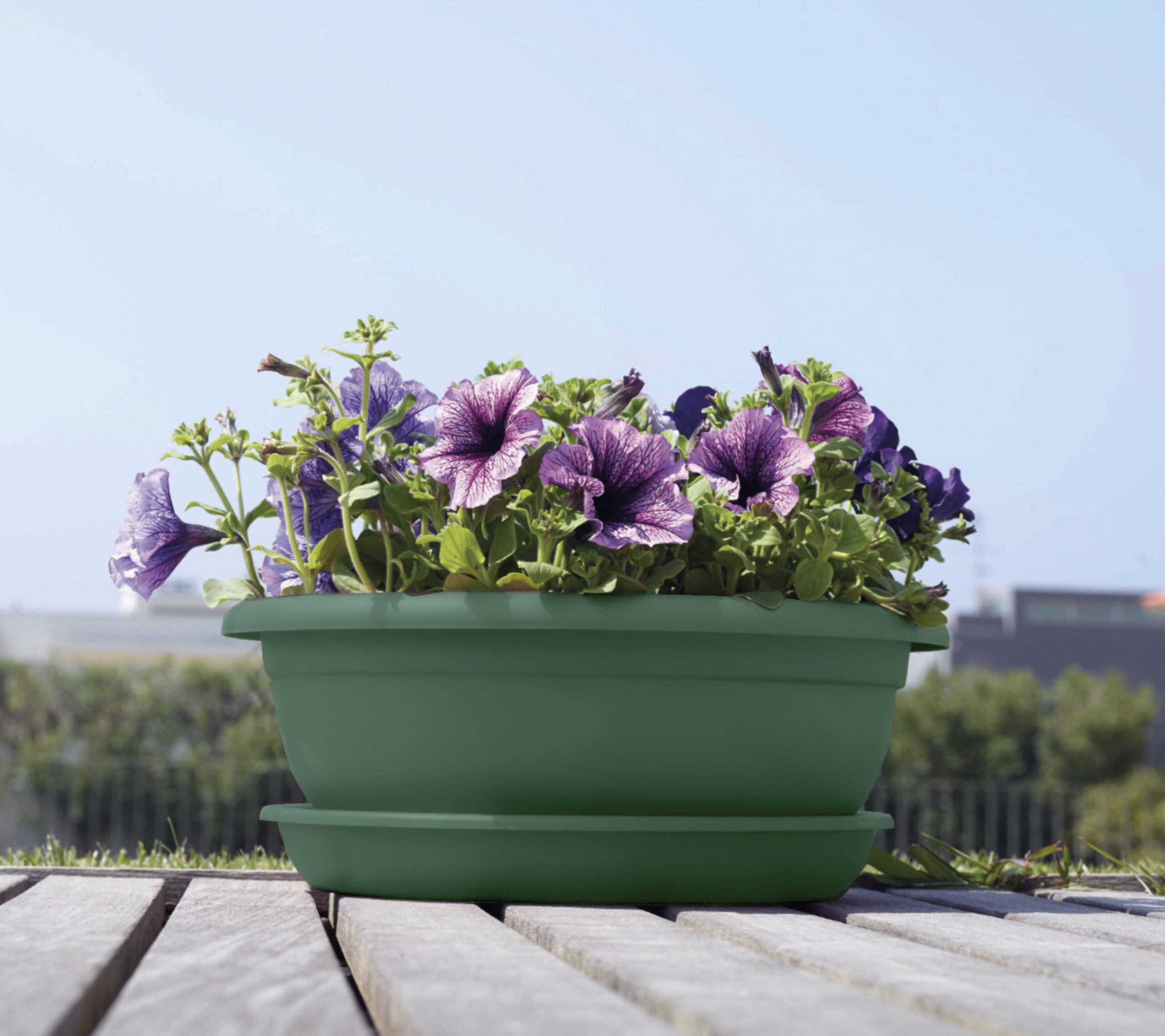 Screenshot a73d2f59b44c0d05dcd8f7743a46e3dd