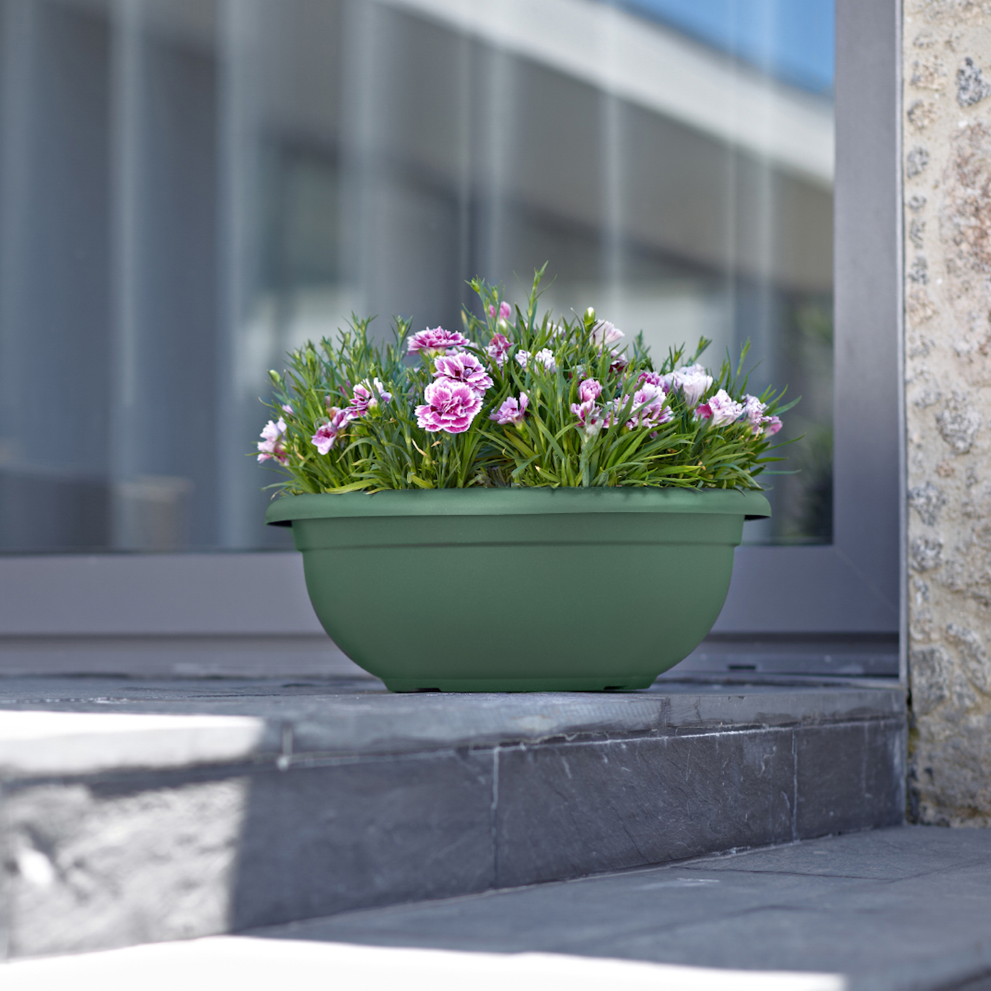 5600442808407_1.jpg fd4650fab87d759210629d472fbf2bb2