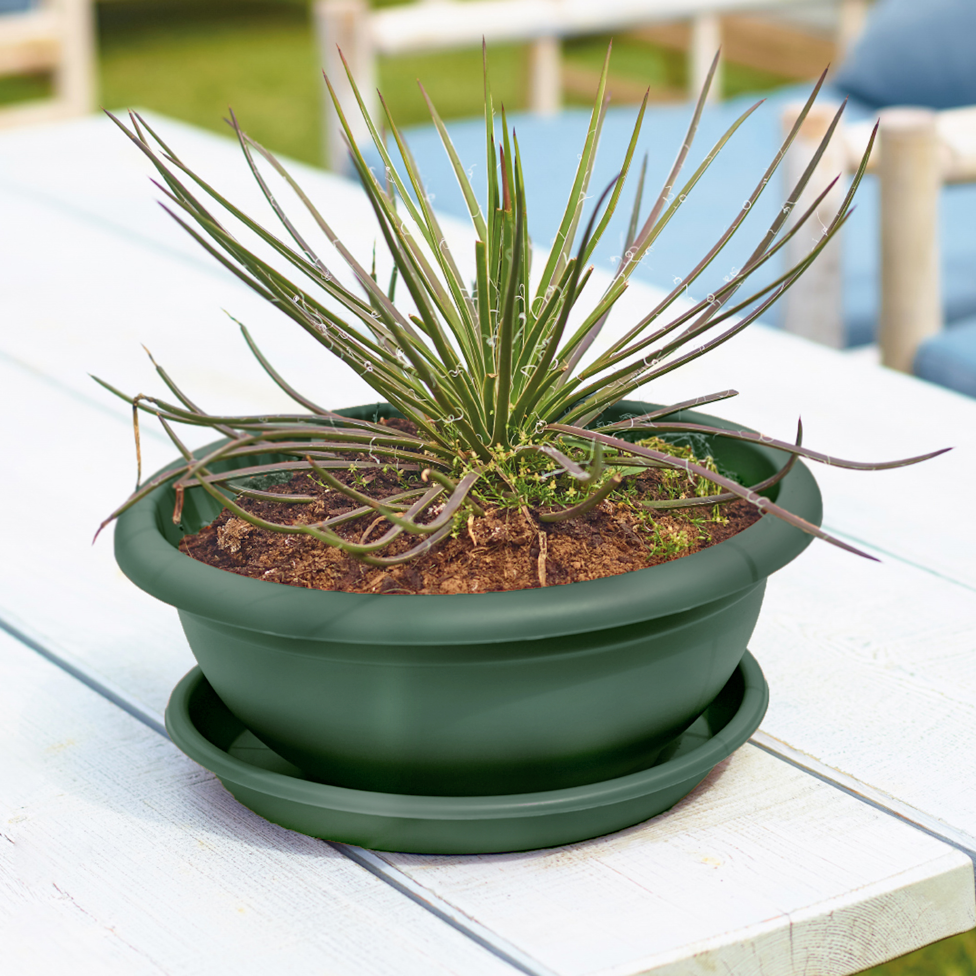 5600442808407_2.jpg 678932342a06f94914ef31fd1caa1694