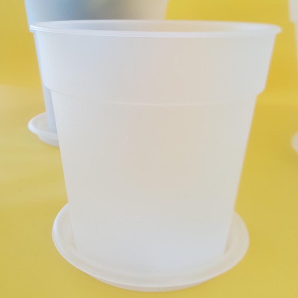 5600442809114_2.jpg bddf07317183c665fcd8b4d2efe8b338