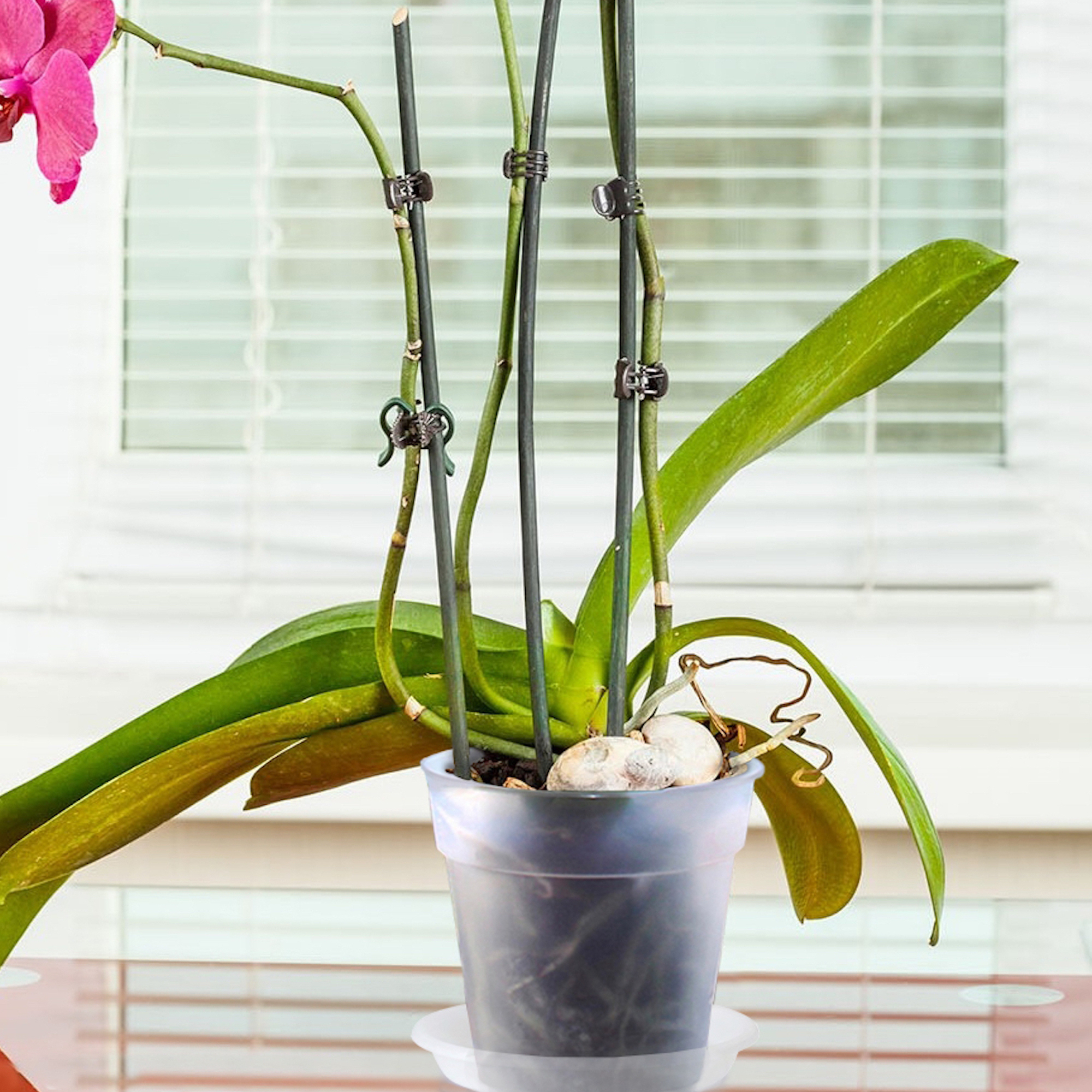 5600442809114_3.jpg 5611b56c50e95e1a3b8724c3bb20e776