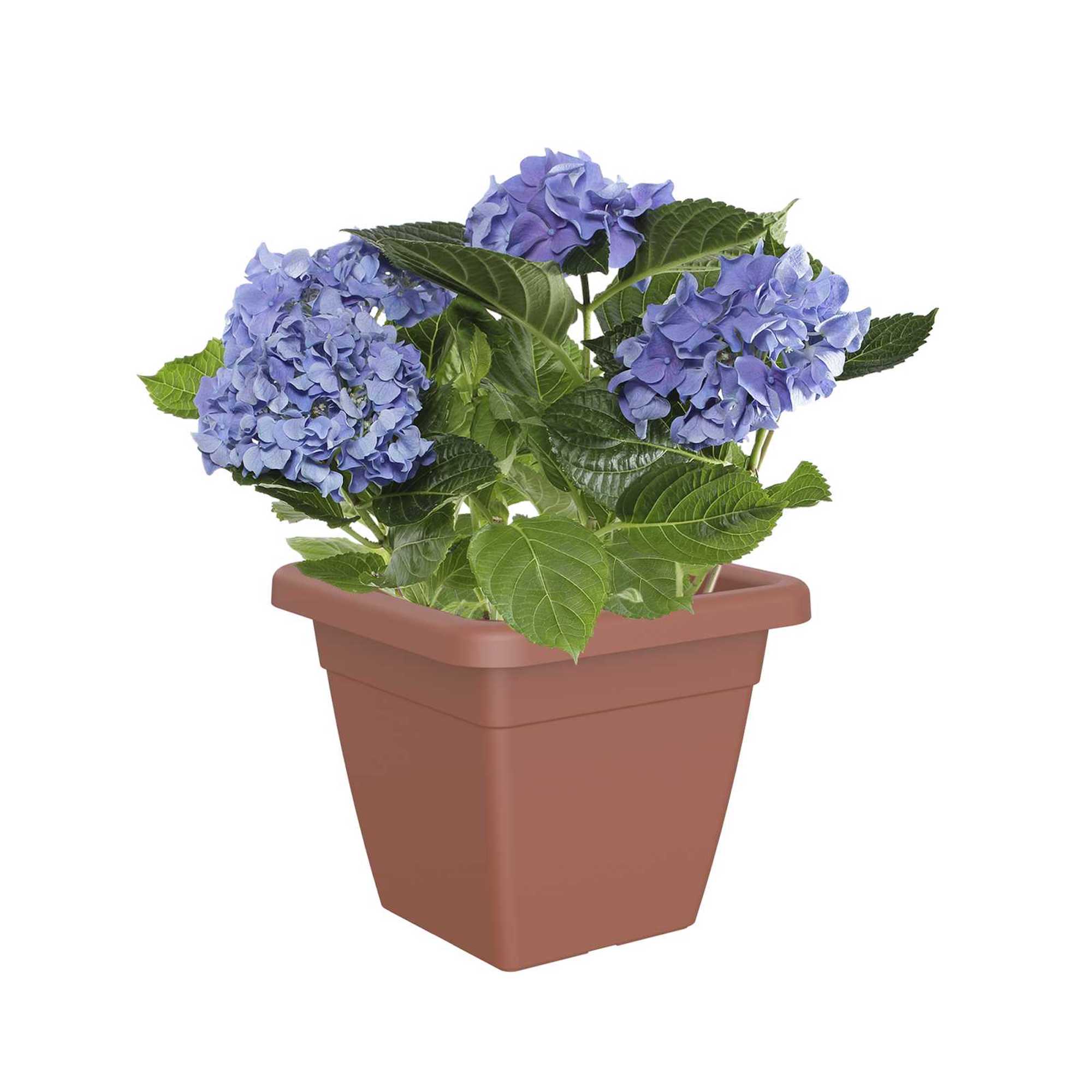 5600442811421_1.jpg d2054d79ad609241f1e176795ff5e4b1