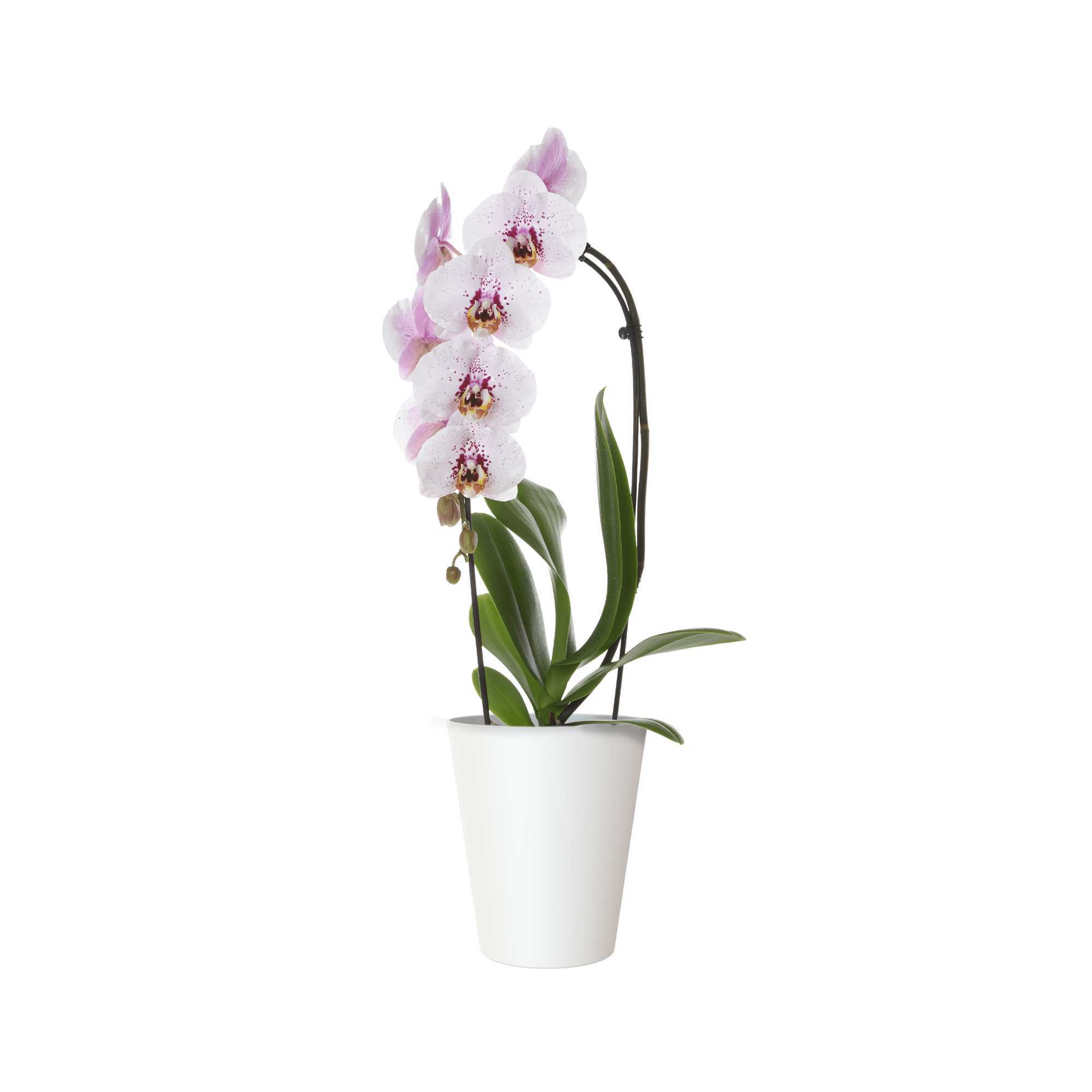 b0d6ed1a5a8f5e25fa2db3c5042f5178