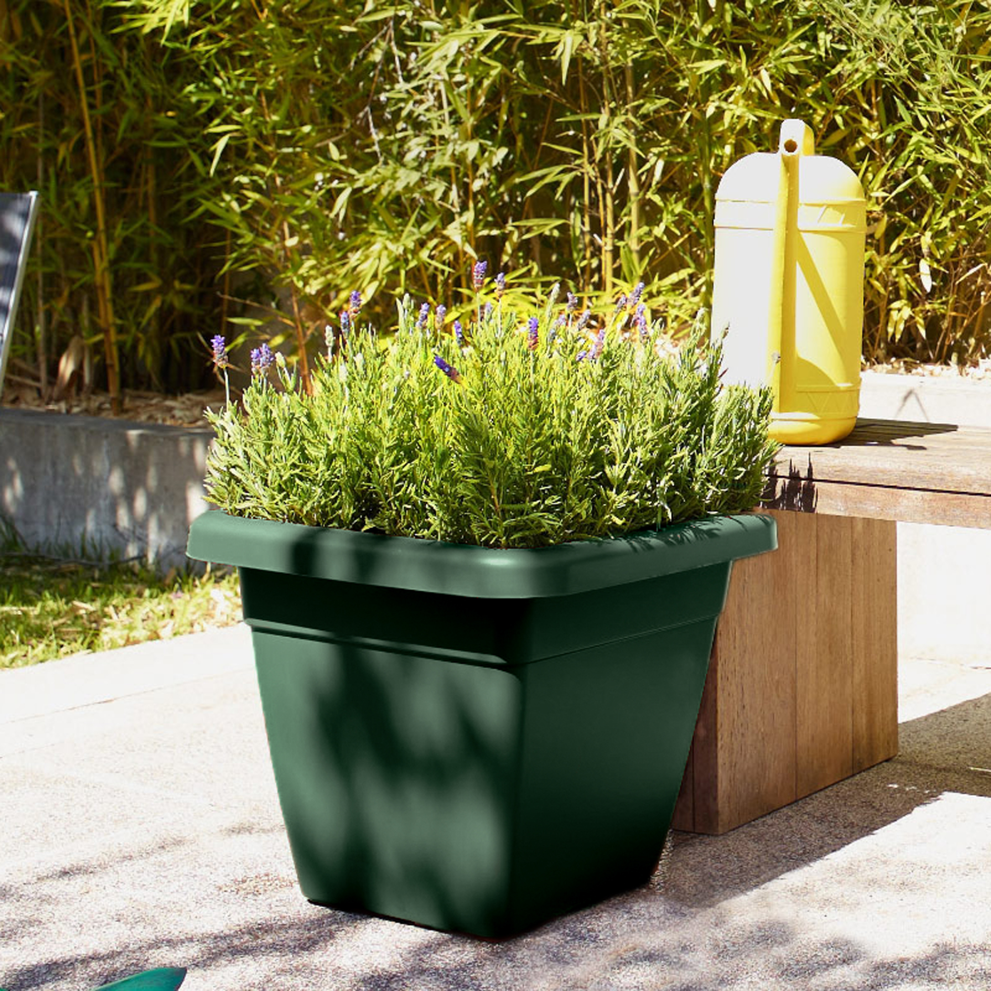 5600442819373_2.jpg 64f90a8ae0bee5f091b6f714e506cb79