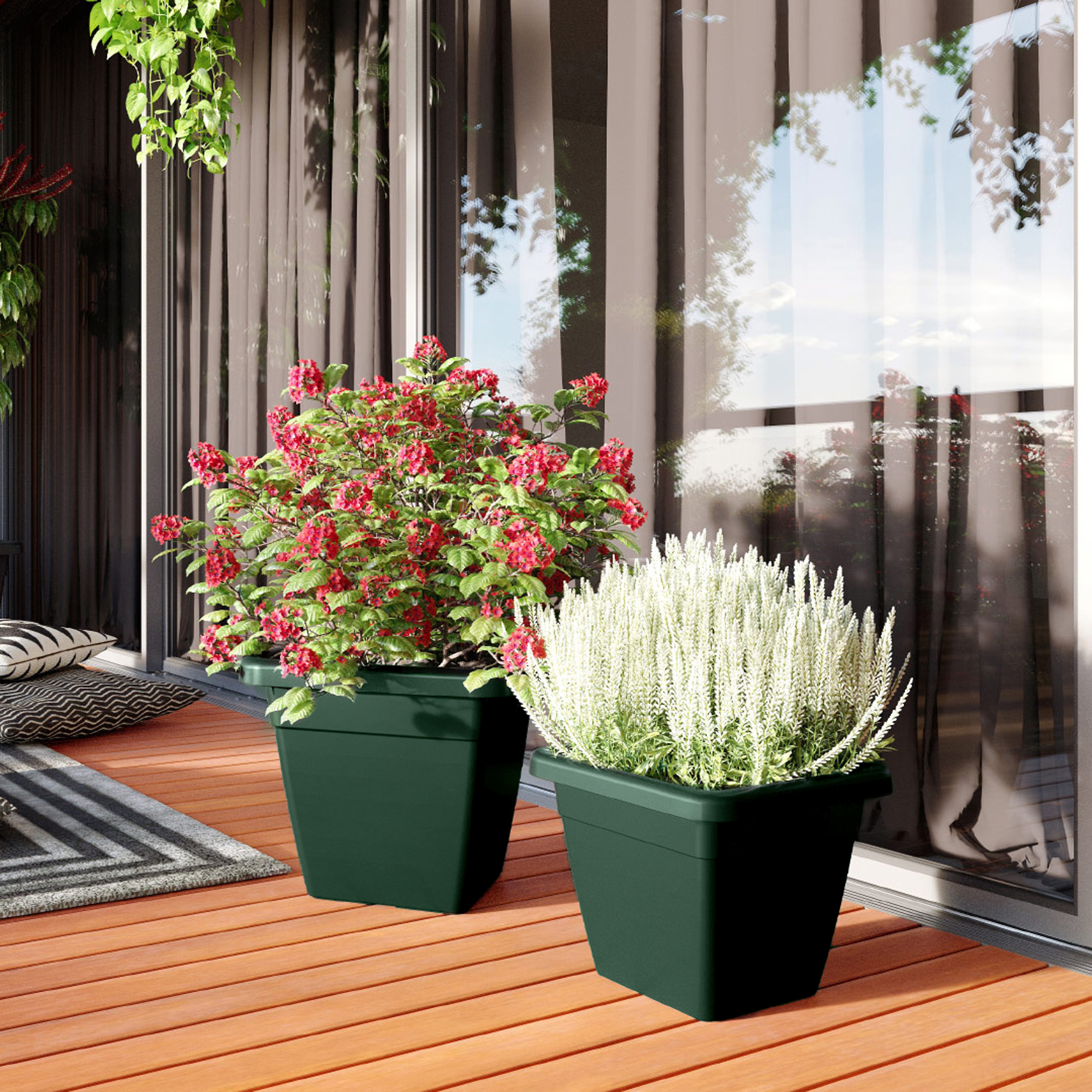 5600442819373_4.jpg 50e065871b8d4bb4d9985cb38148158a