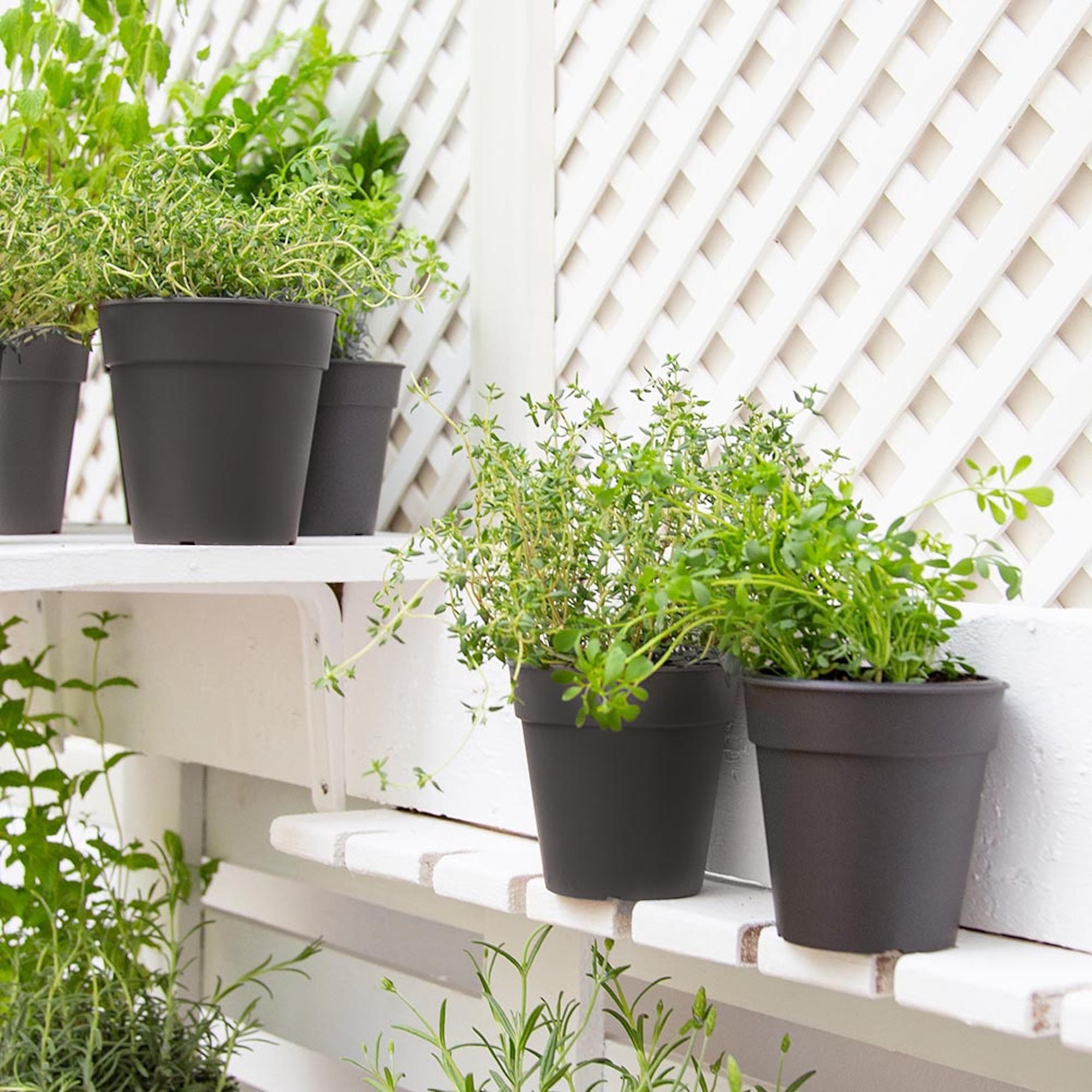 db198a346c26c75555926578772fb956