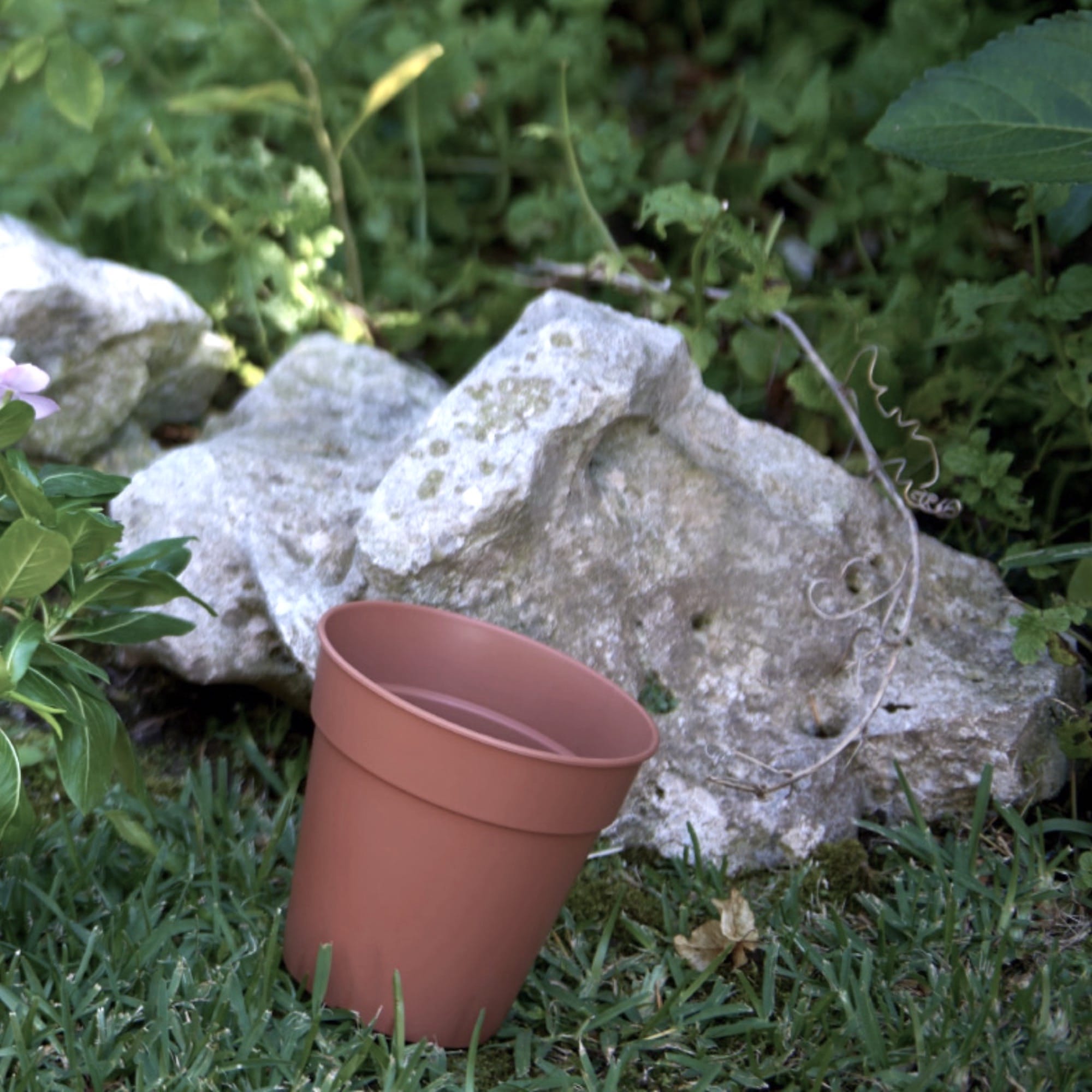 5600442820256_2.jpg c1a3d1fe963016a65f47f588c13fd5a2