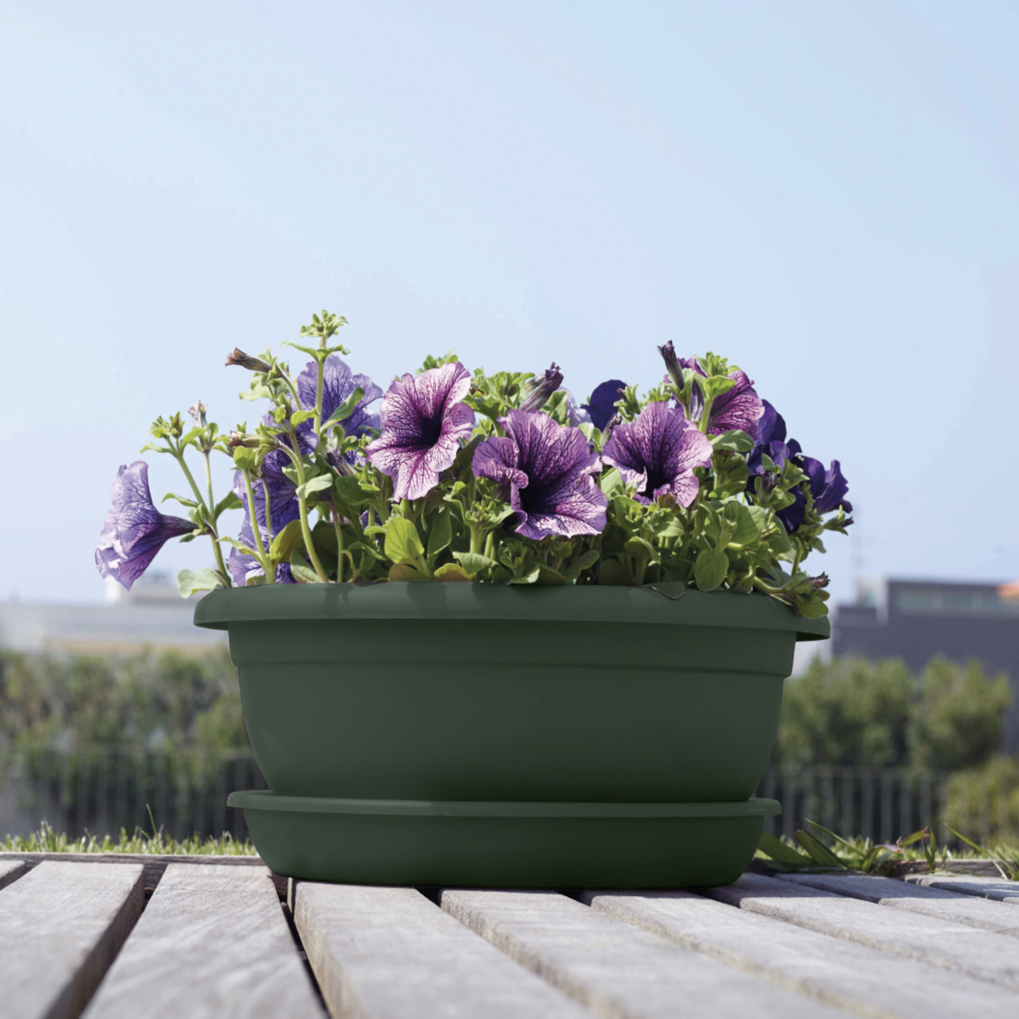 Screenshot d77ccbf23c3141cc91ac7f3a4698be2d