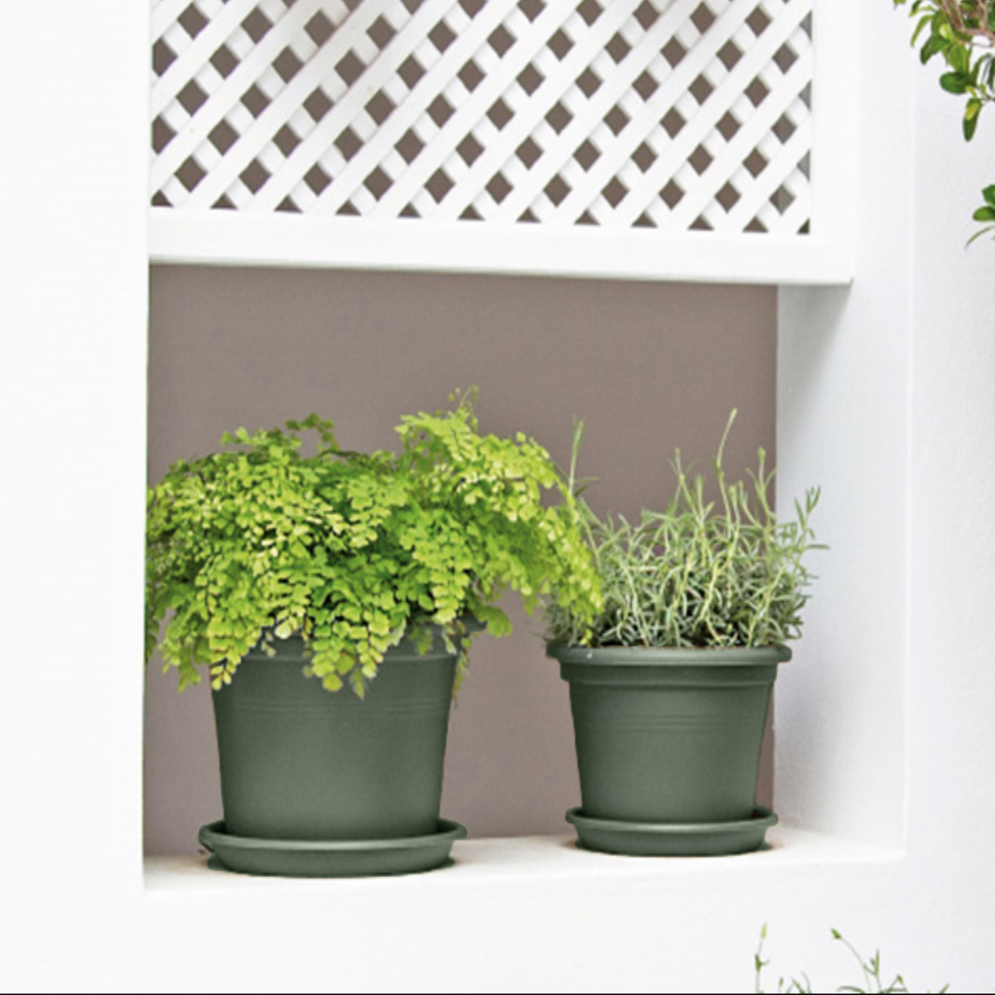 Screenshot 6608928ed5be23c4658ecc64f16d4516