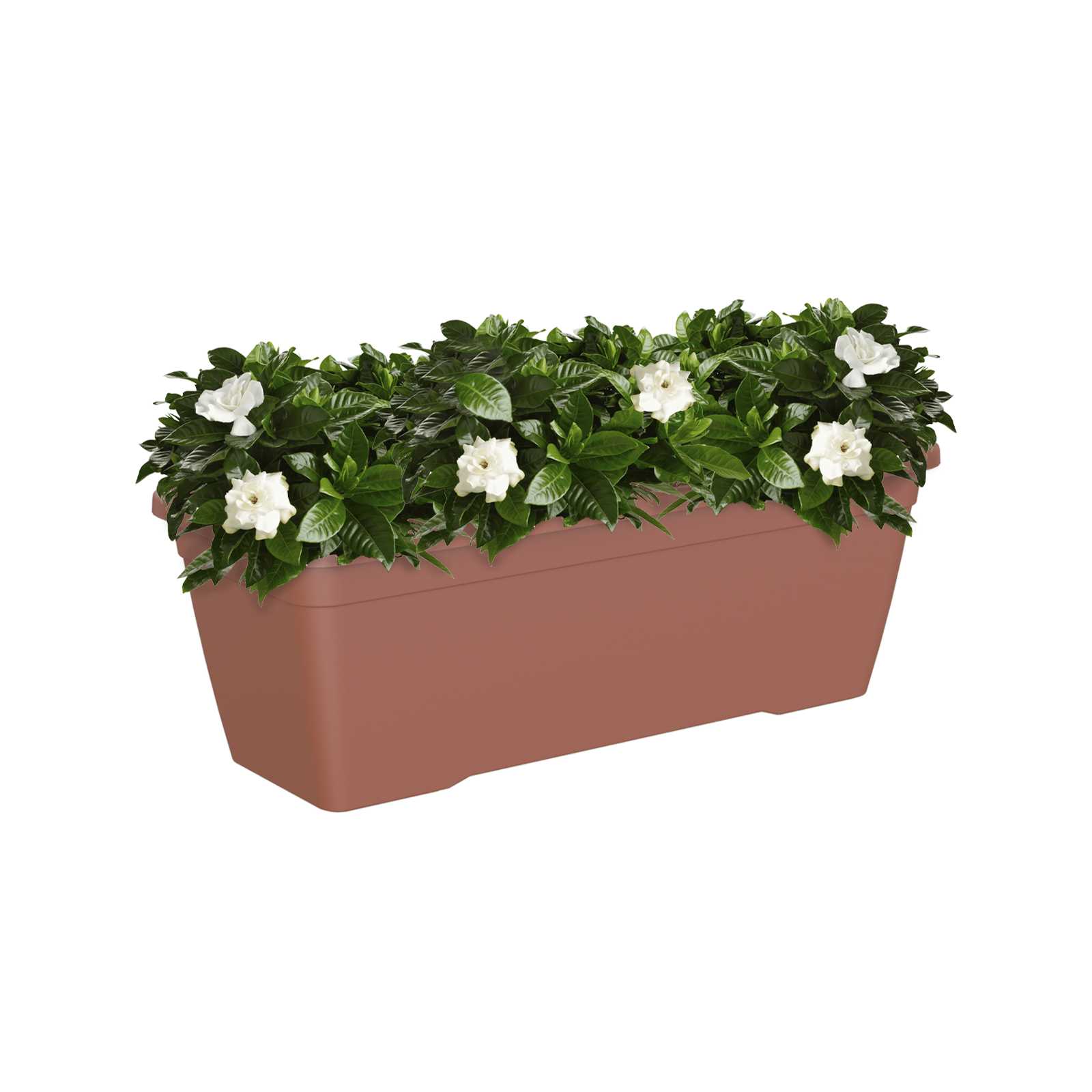 5600442822137_1.jpg f45bfff3e67bbae076c7e615315ece81