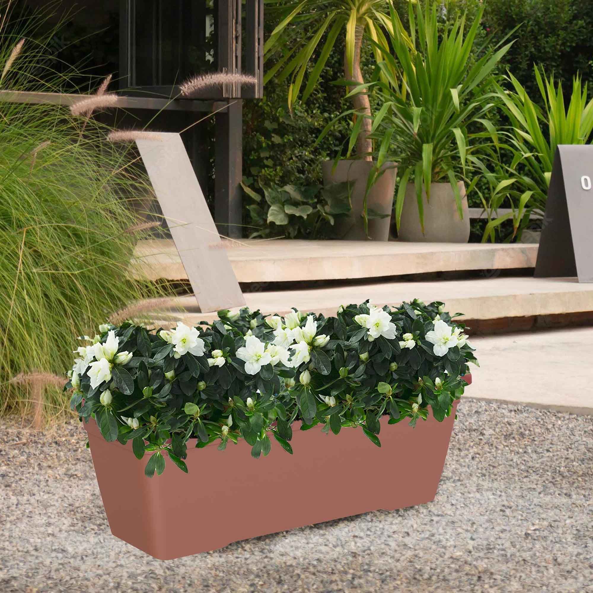 5600442822137_4.jpg 10a98531b0ef2a69425275b54a05c42d