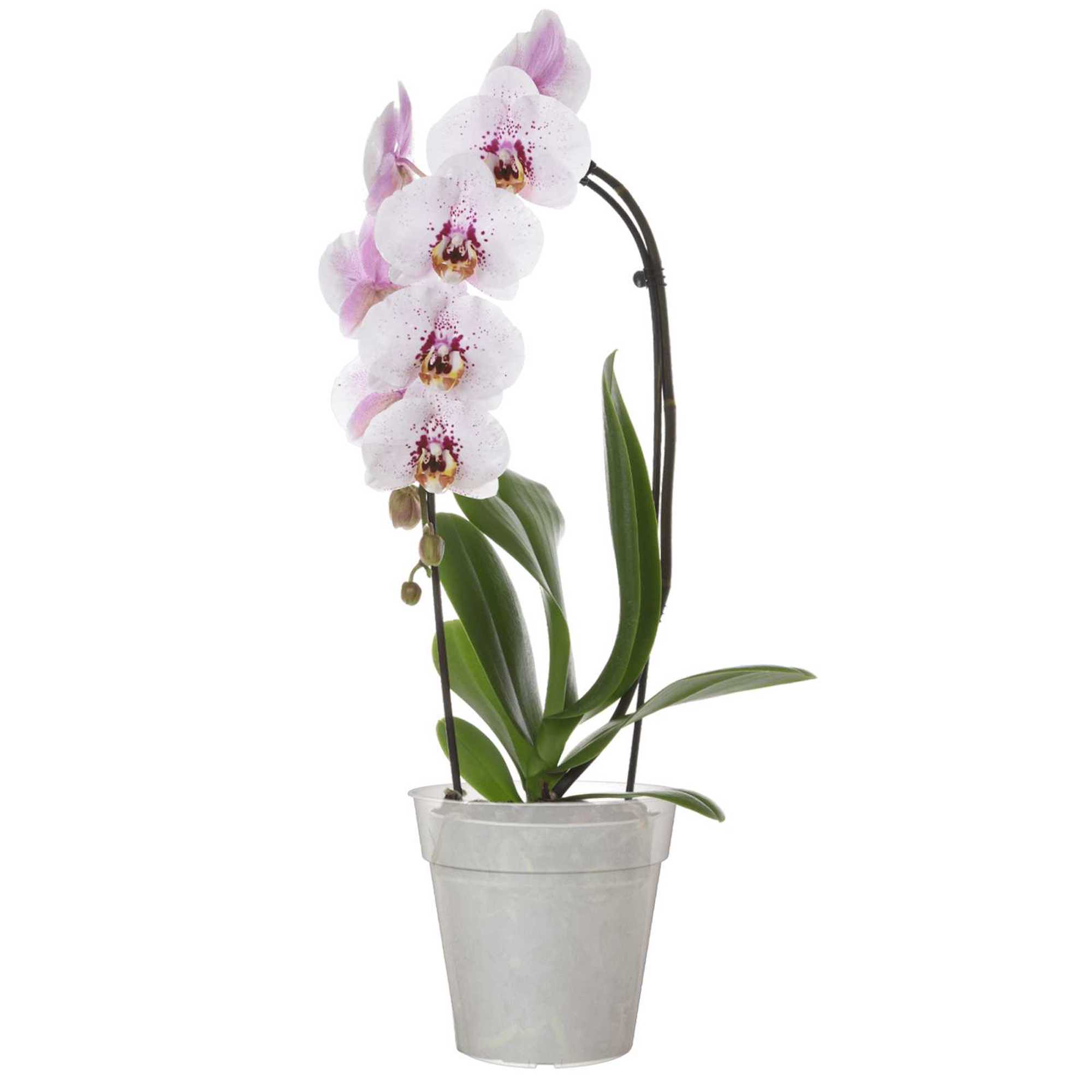 1f7ca1c45f6ca262f862ade89d535ed0