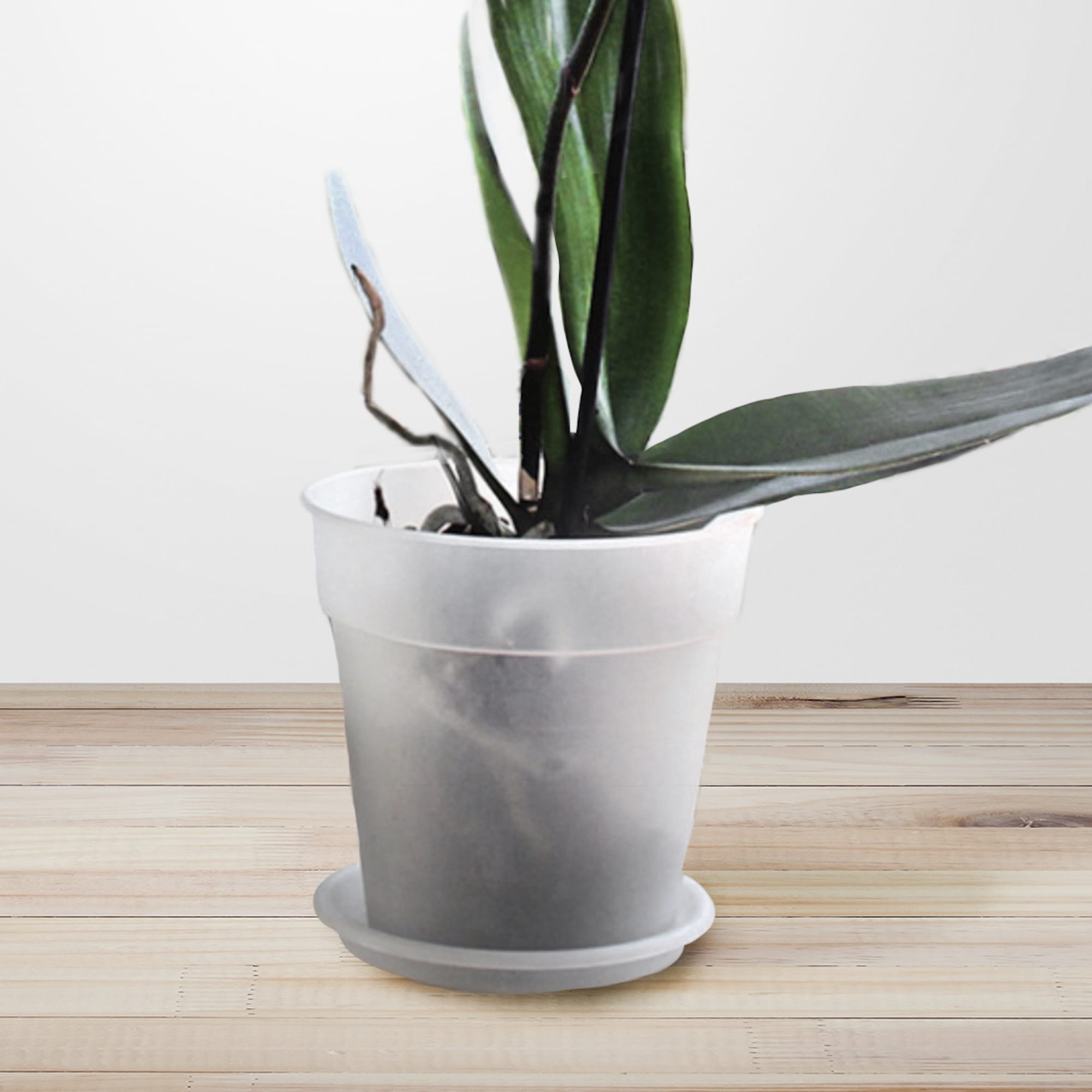 06d788bf55656e62d348c5b5997ee3b3