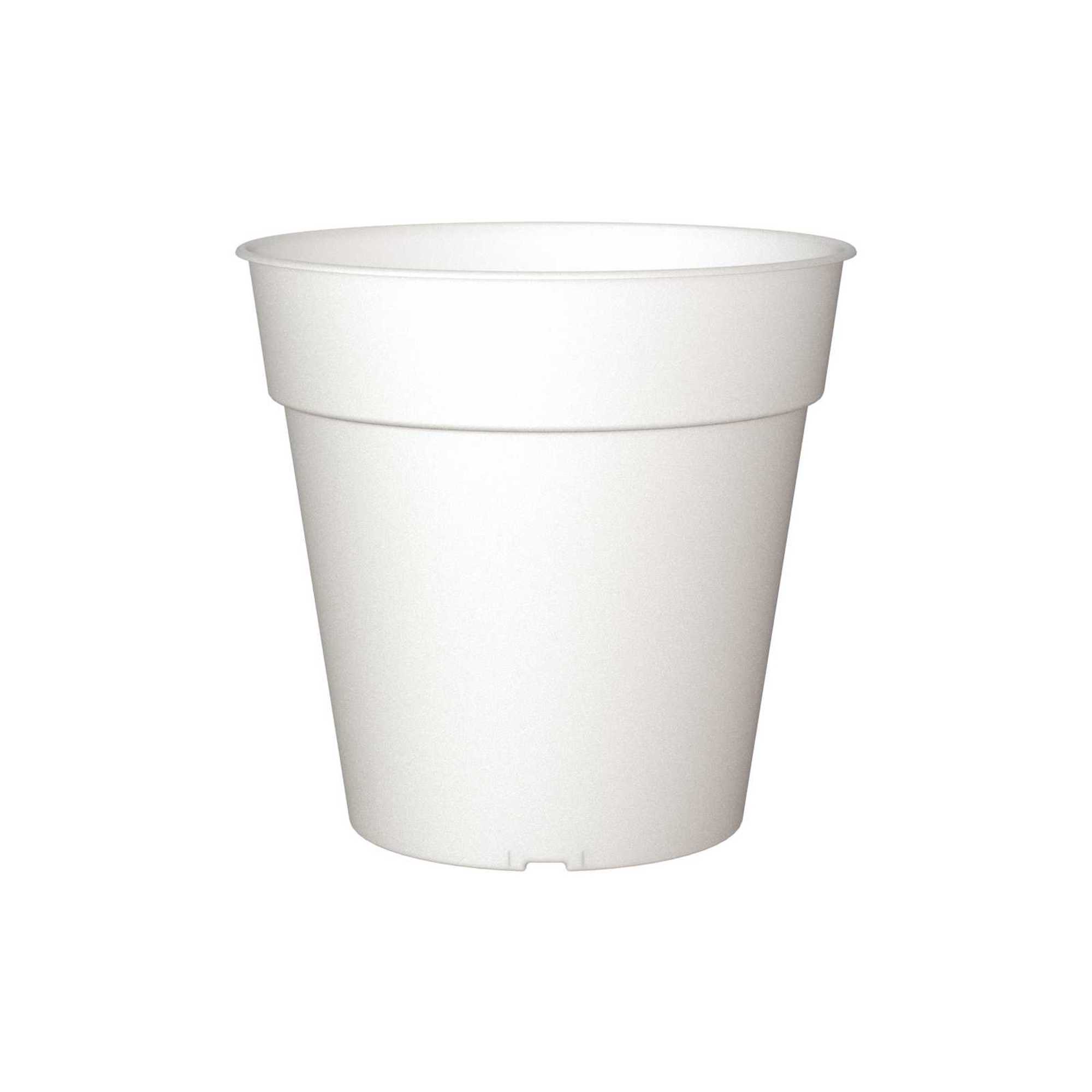 Set 12 ghiveci de productie pentru orhidee Madagascar, 15cm, culoare transparent