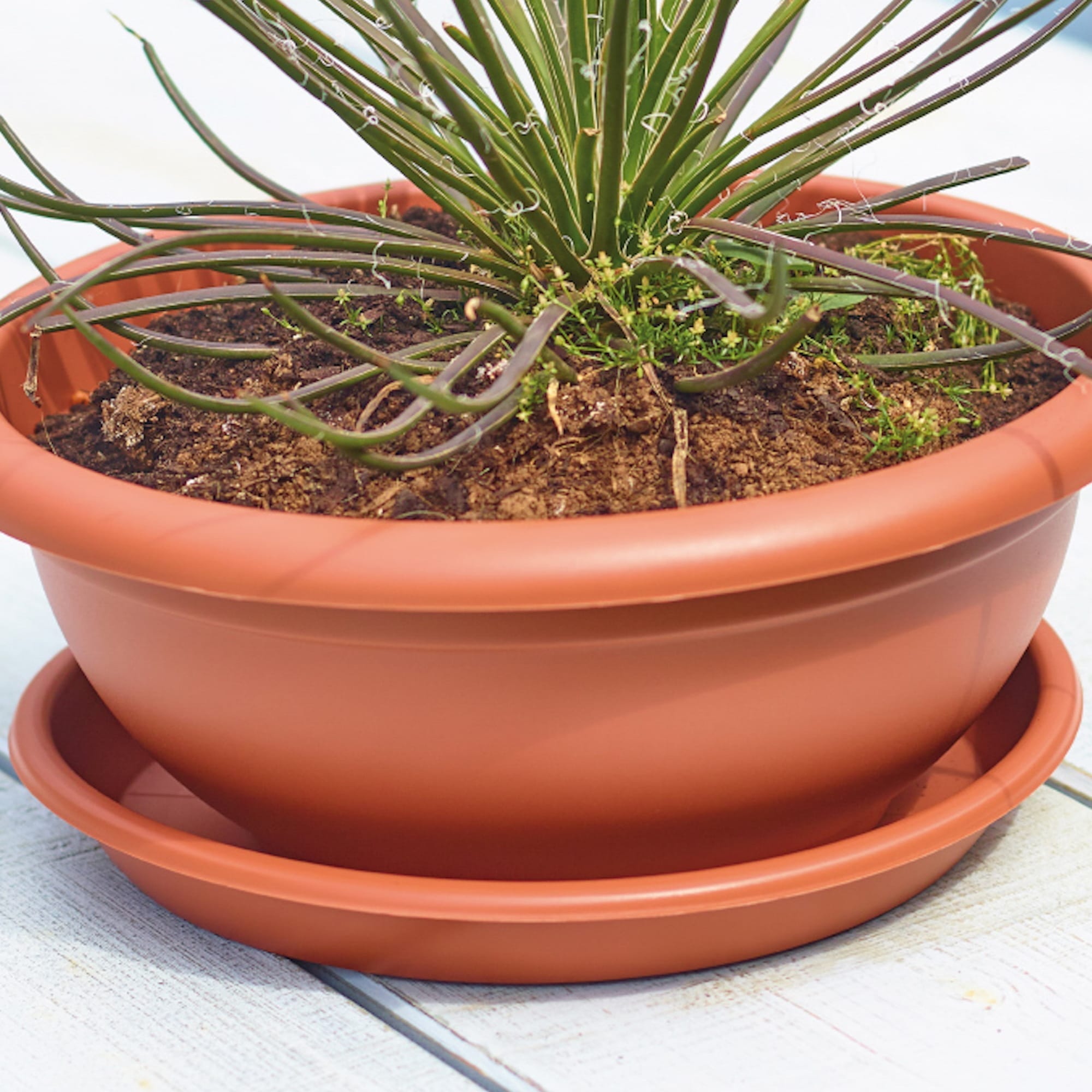 5600442823967_1.jpg f8195535a31dd1c367923f15b79a9139