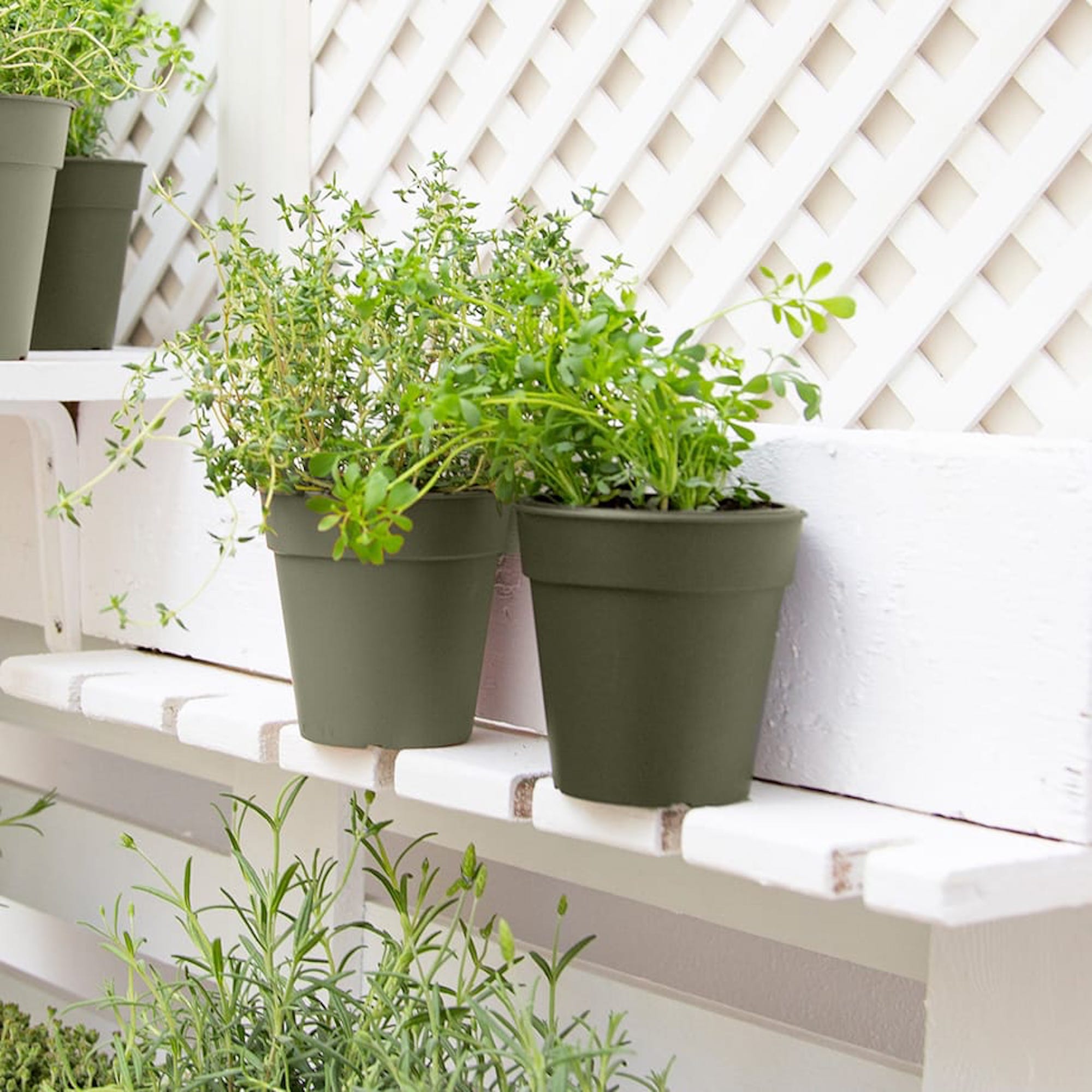 5600442838060_2.jpg 841f6280b0a1036e1920999865246139