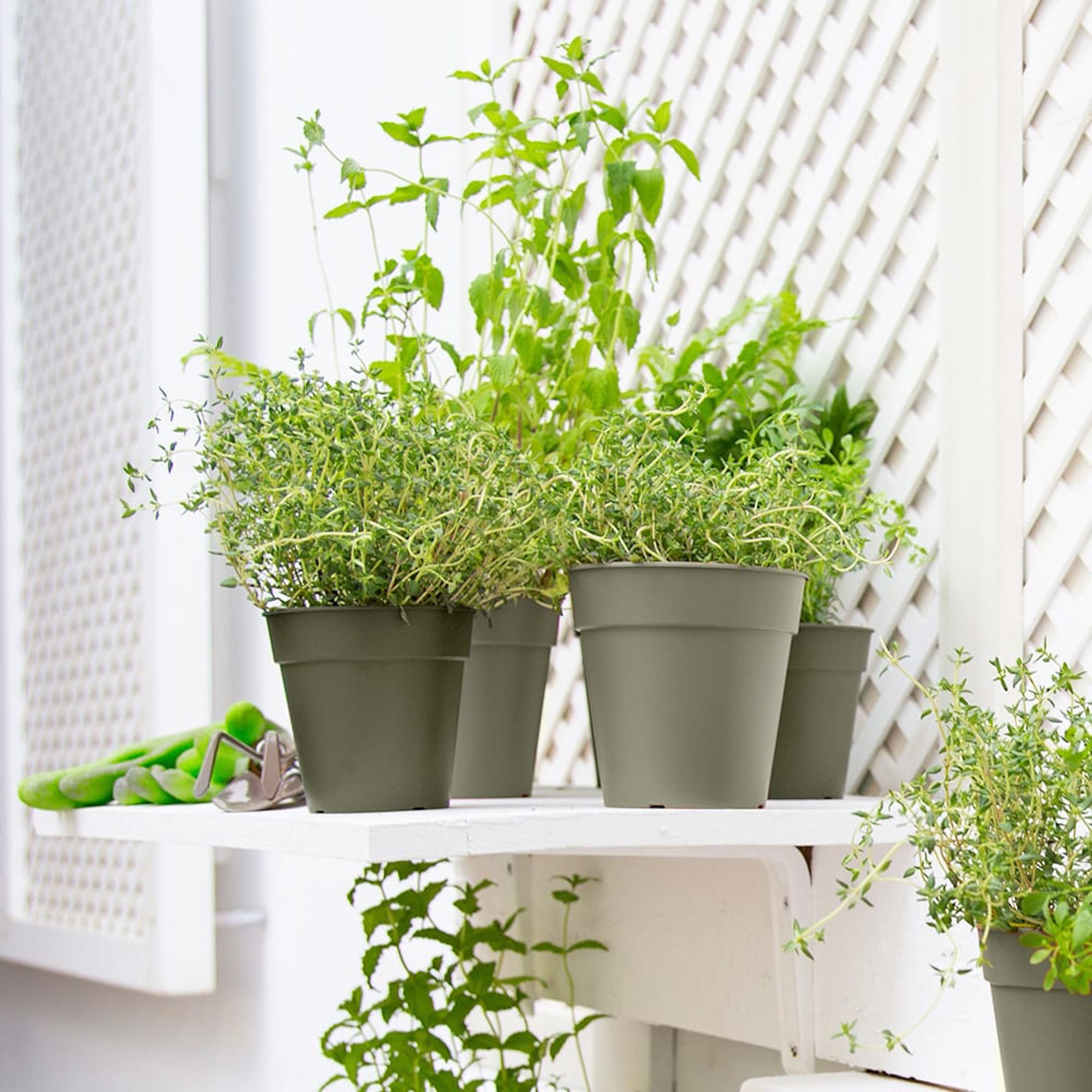 5600442838060_3.jpg 0f7c56bf0f835abba612b70aa0caef26