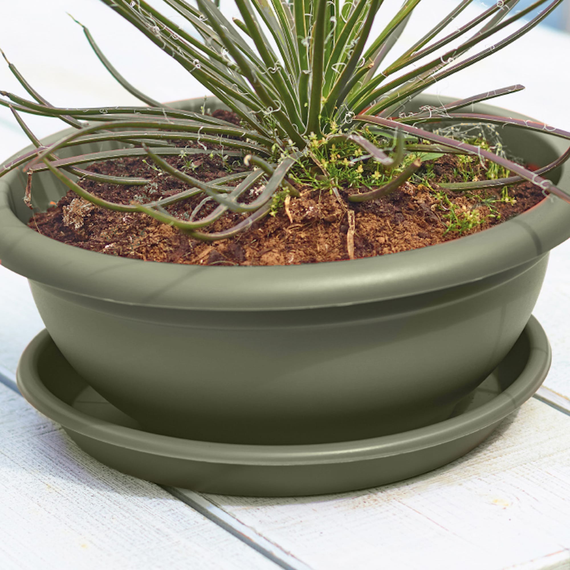 7d406a80ebd901292dae85acb2c99f56