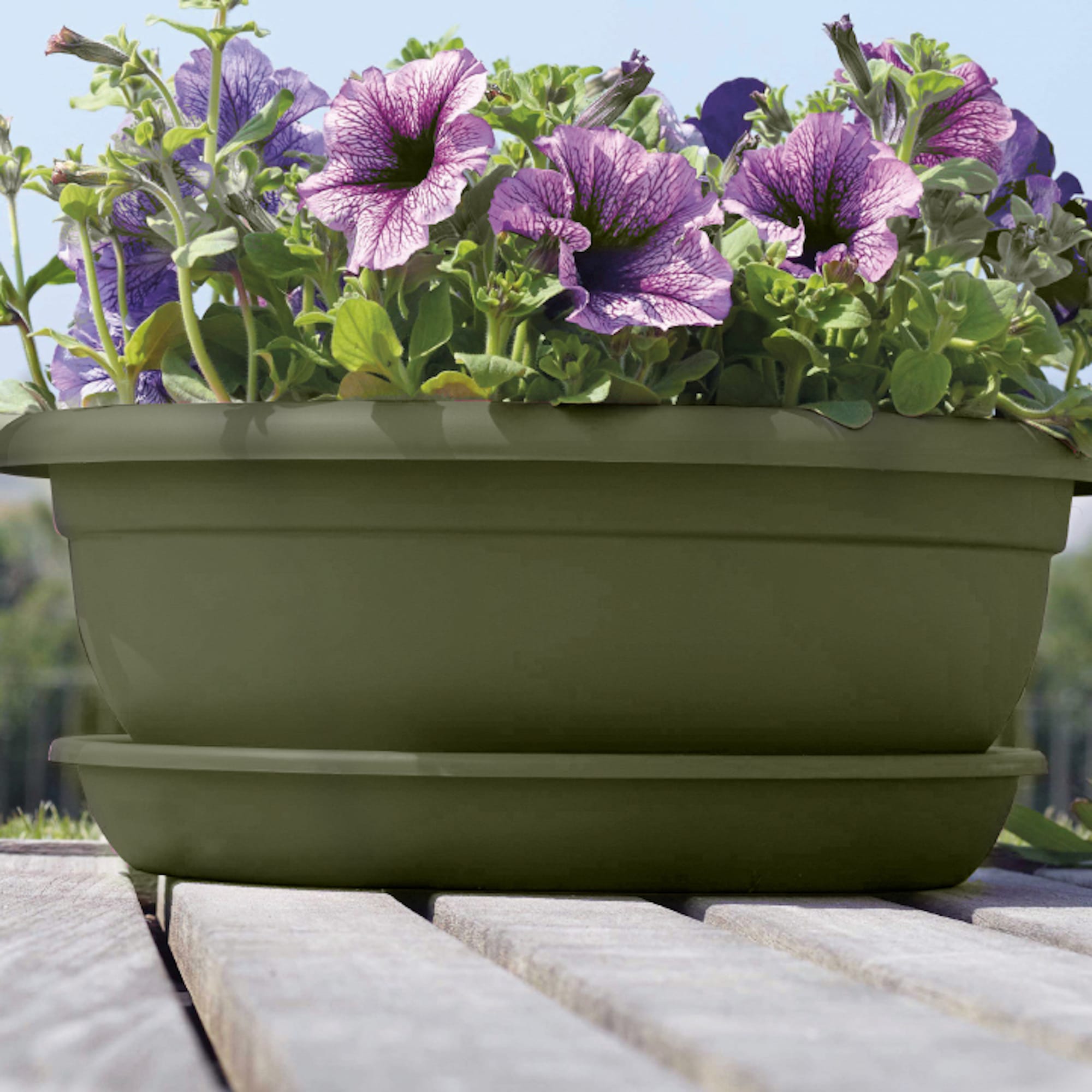 0b07a4fae6786c4e0bda2e78fc9ce7bc