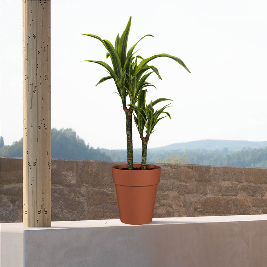 5600837331145_2.jpg cce825c5201325f5d81f716e18ffe791