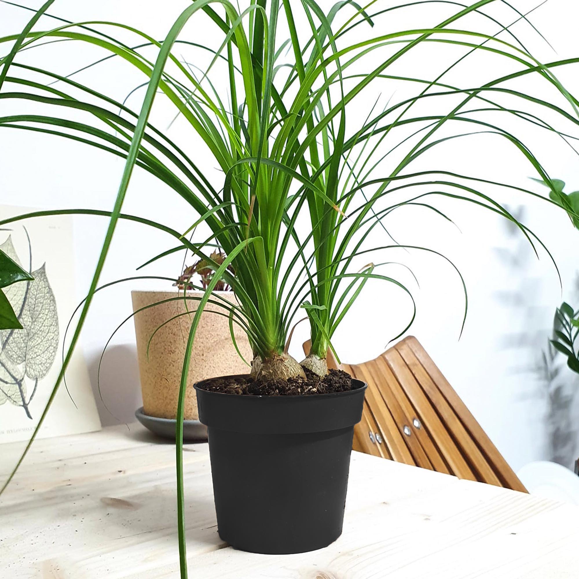 b0ef2cdd56e87a61449b4f1e659f50ed