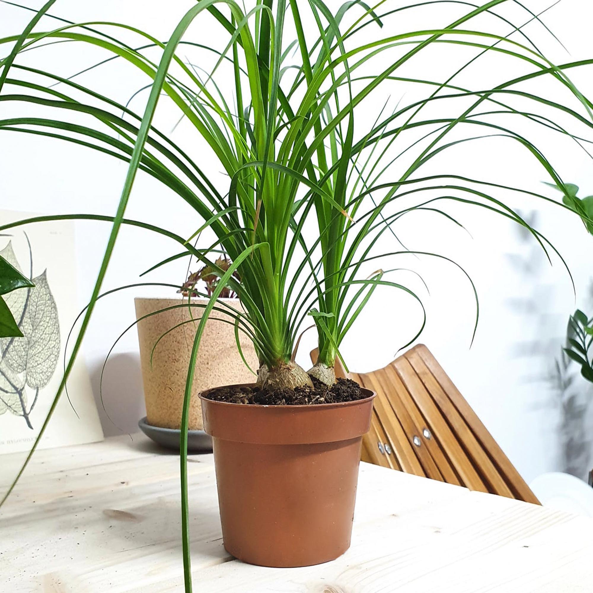 62490476fa836ed6b77dab42c98dd240