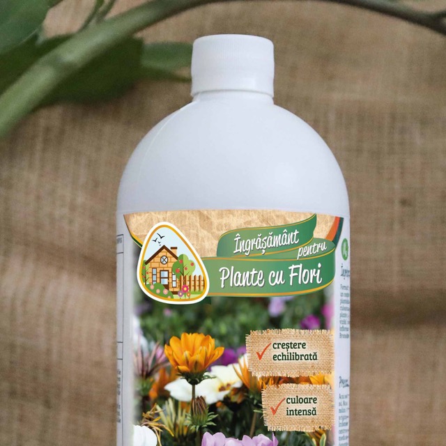 98bdcadad5218a71e85cab9939dc0bb2