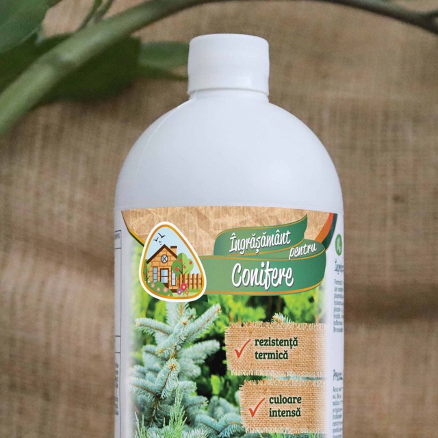 001d9681e61306d25845a0110beb4873