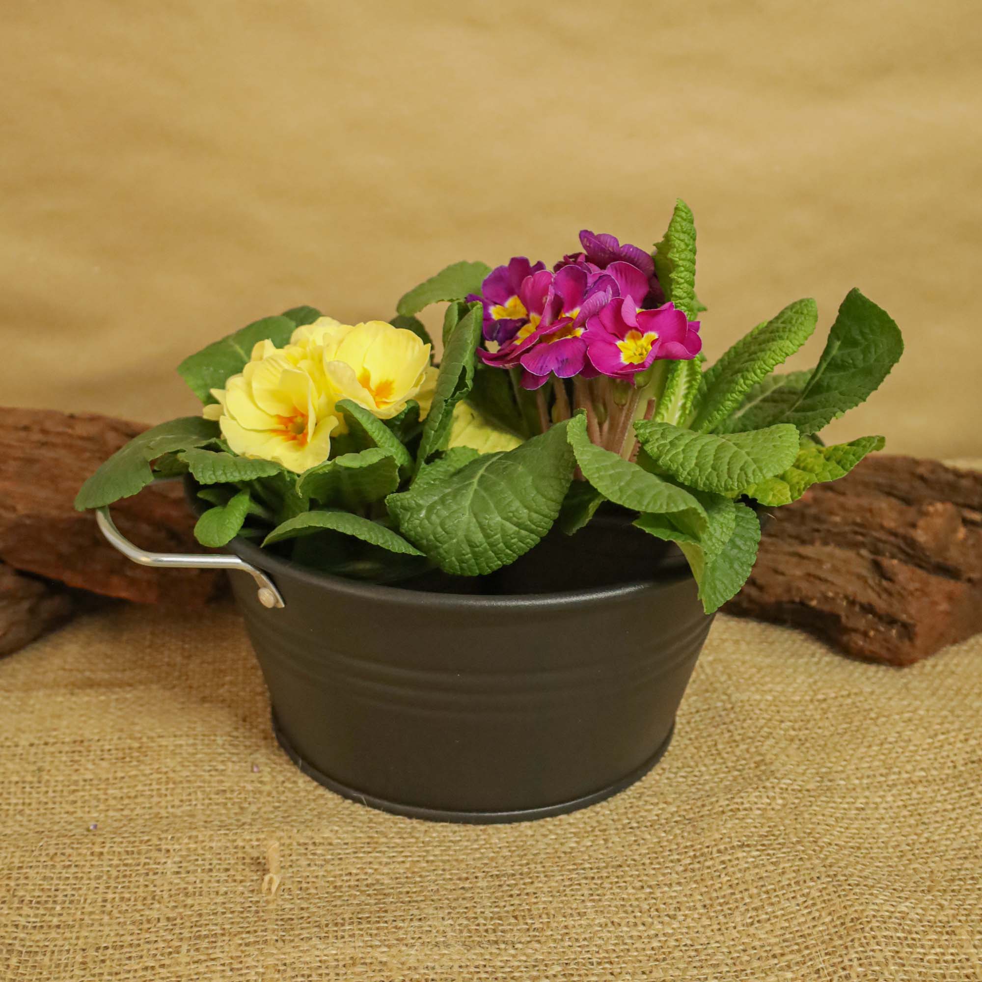 5949062706282_4.jpg 60b60b5f81424c2564db5983a58be3e3