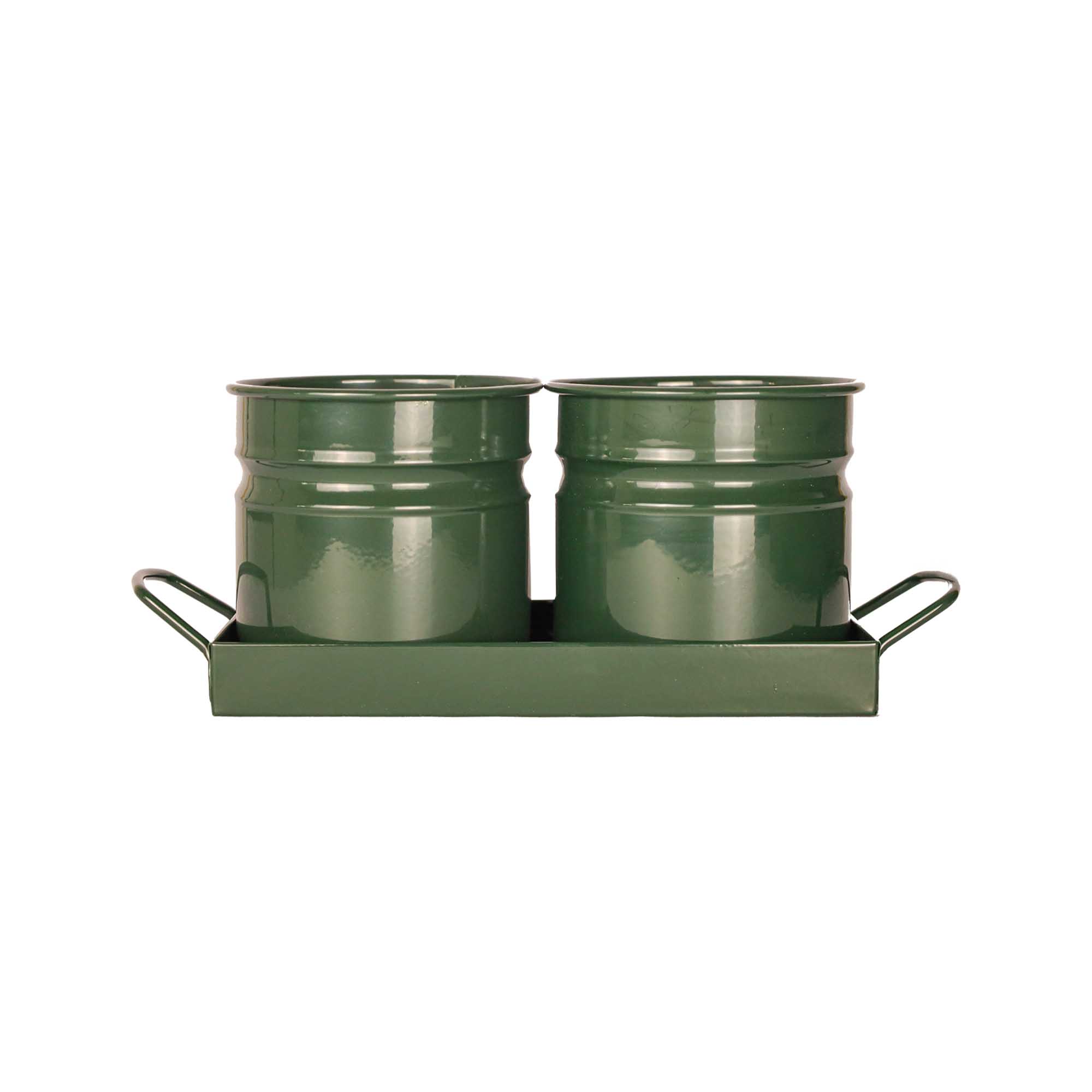 Tavita din metal cu 2 minighivecele Mary\'s Garden Supplies 30 cm, culoarea verde