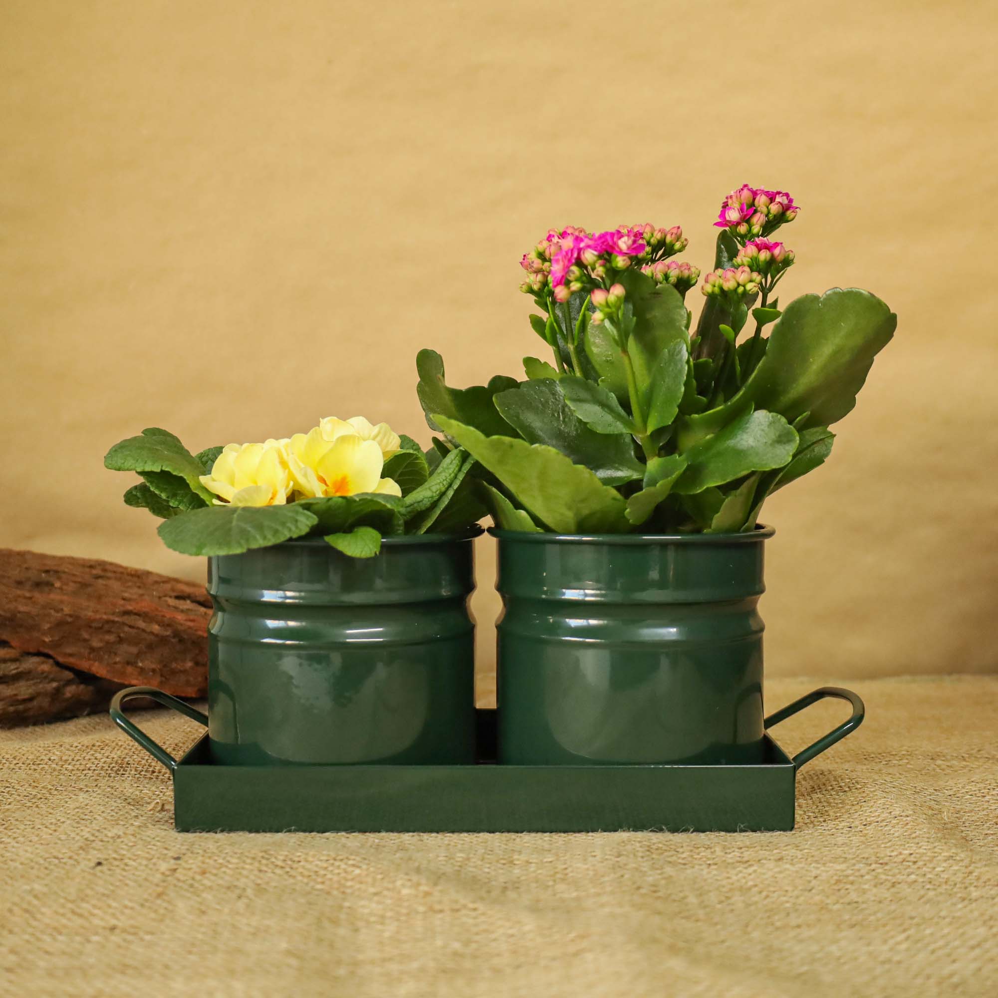 5949062706350_4.jpg cdd06d11333fc5381fc11f383d784e52