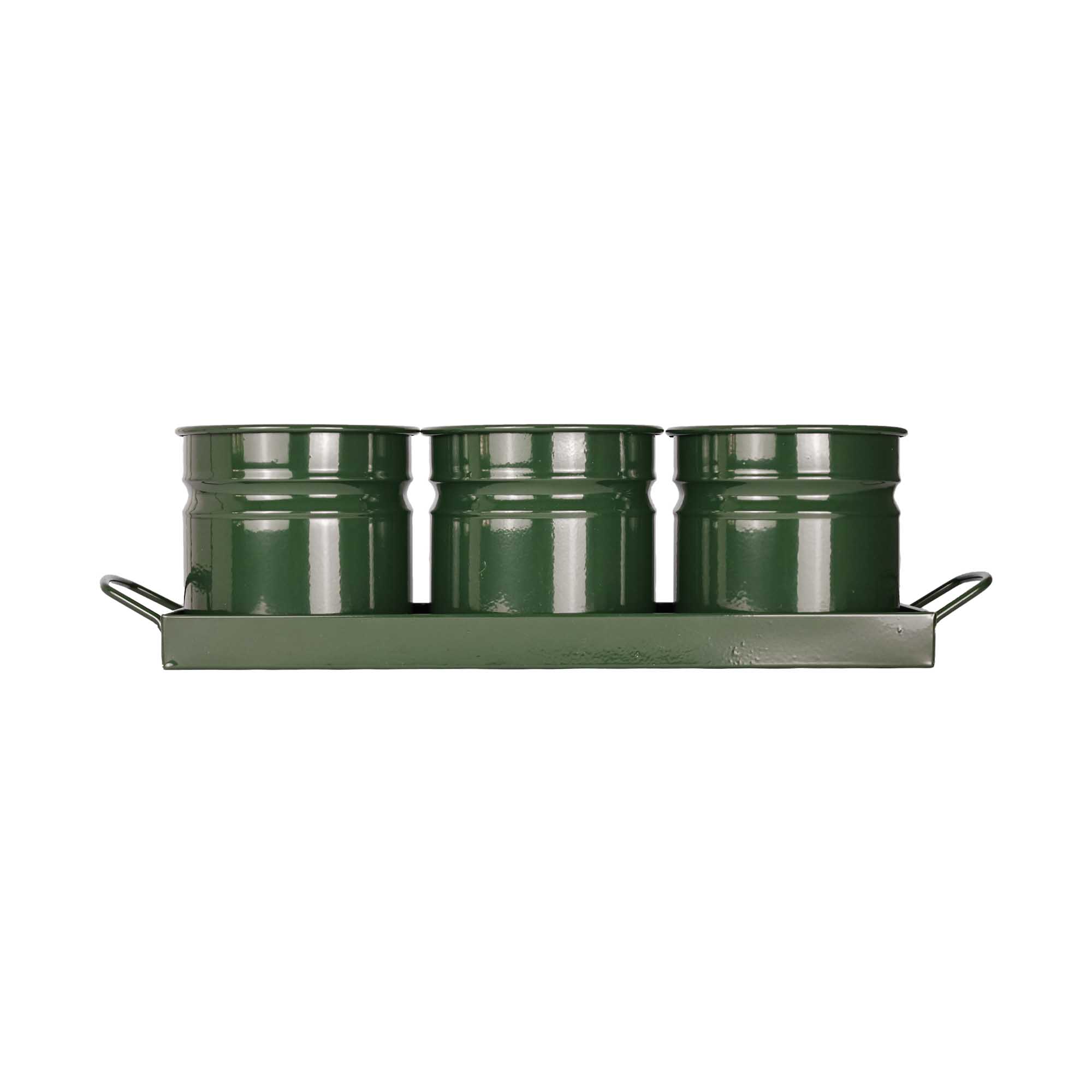 Tavita din metal cu 3 minighivecele Mary\'s Garden Supplies 40 cm, culoarea verde