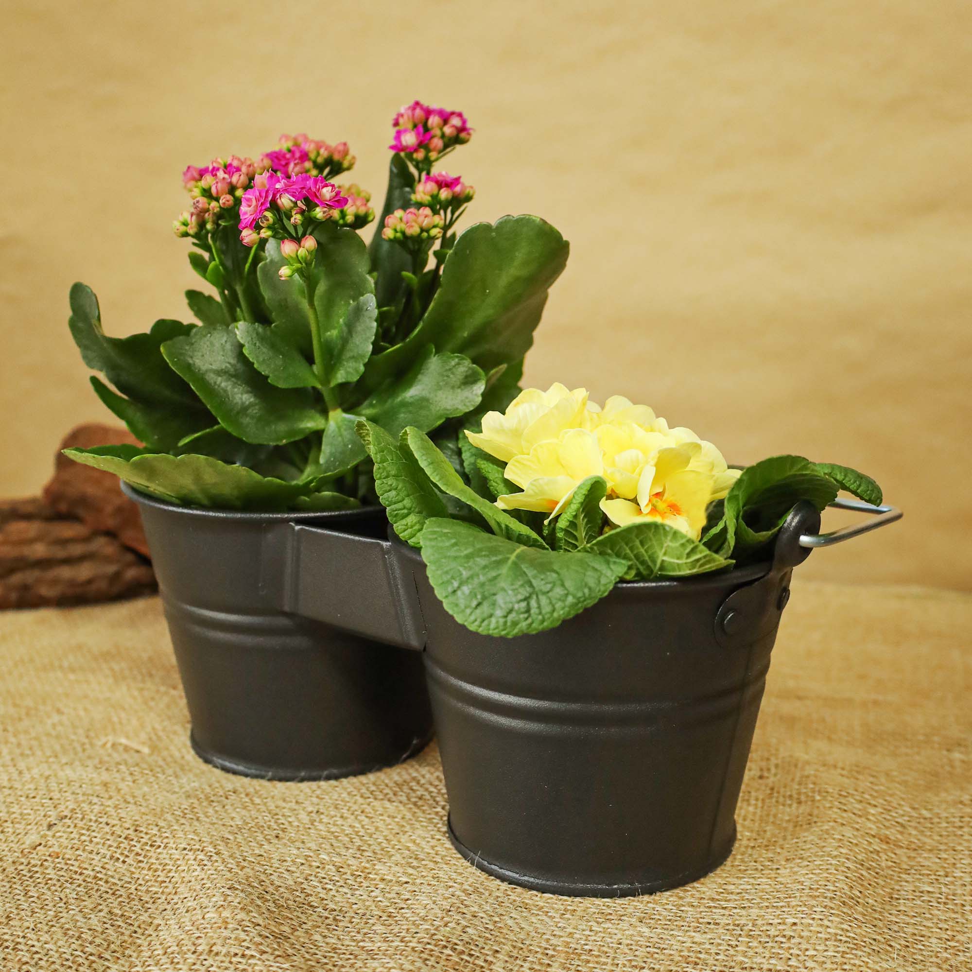 df2b7a56cdabb26197eea91895c1ed04