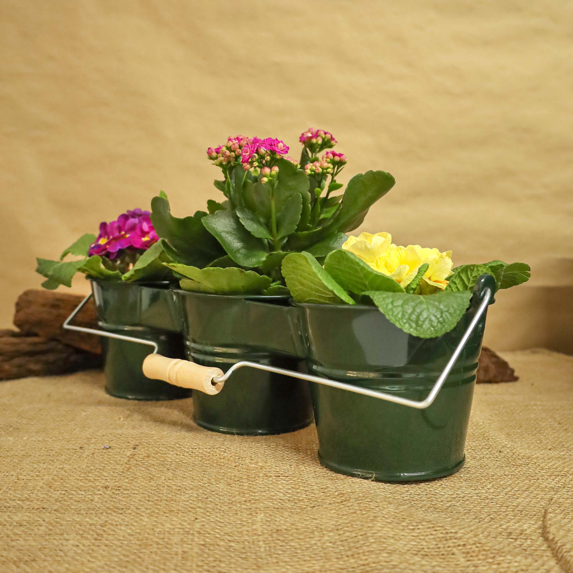 5949062706497_3.jpg 495489782e26ee92110a10a9593071c9