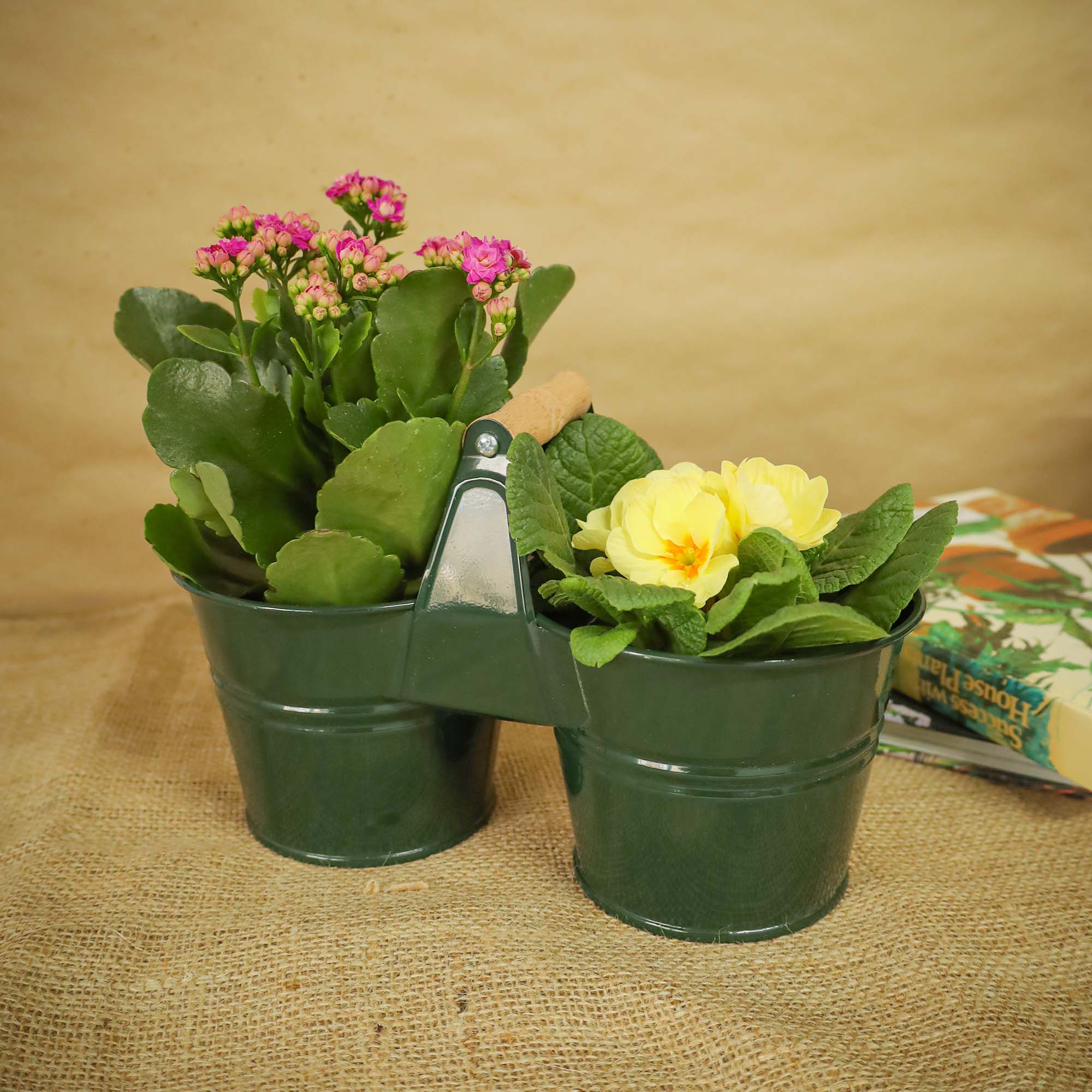 5949062706534_4.jpg 62d8e3208eeb0fc6c936d459ec282cd4