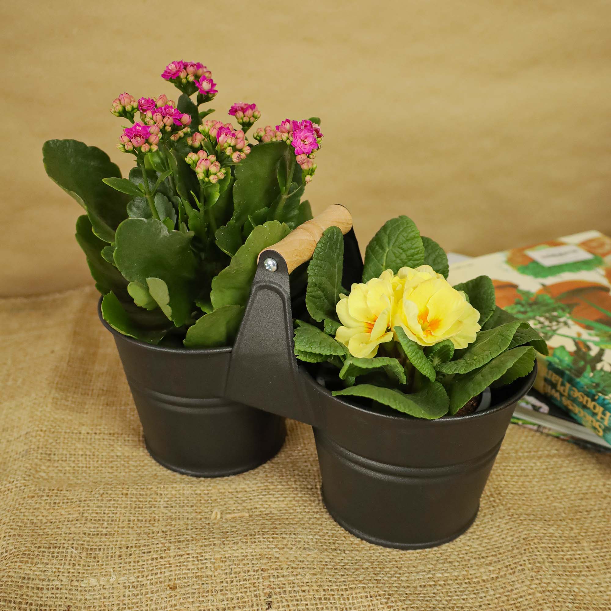 5949062706541_4.jpg 0f655921061b68a235e3b226691d5907