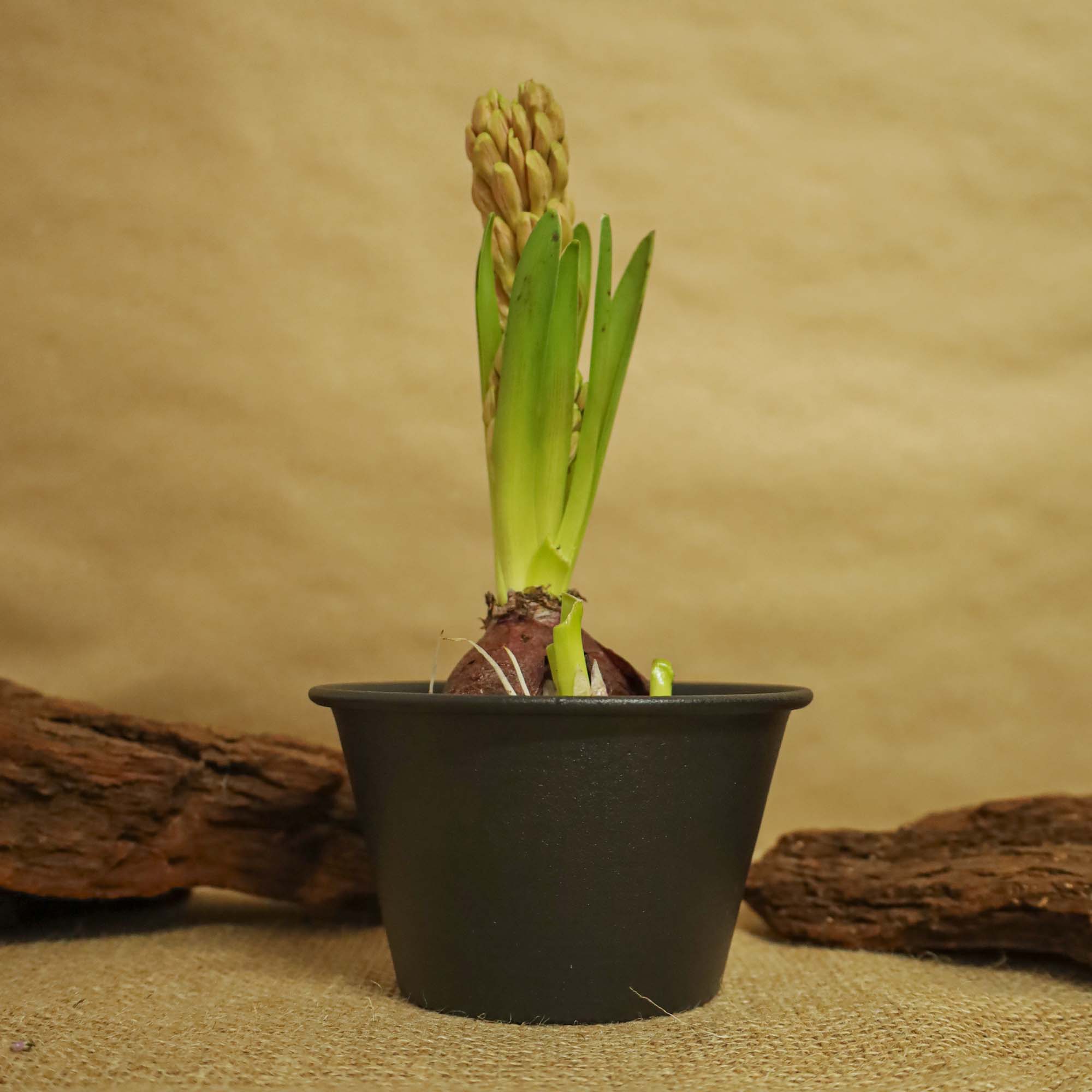 5949062706589_4.jpg 9f5d8d47e2d03899d3cbf7f85e405f83