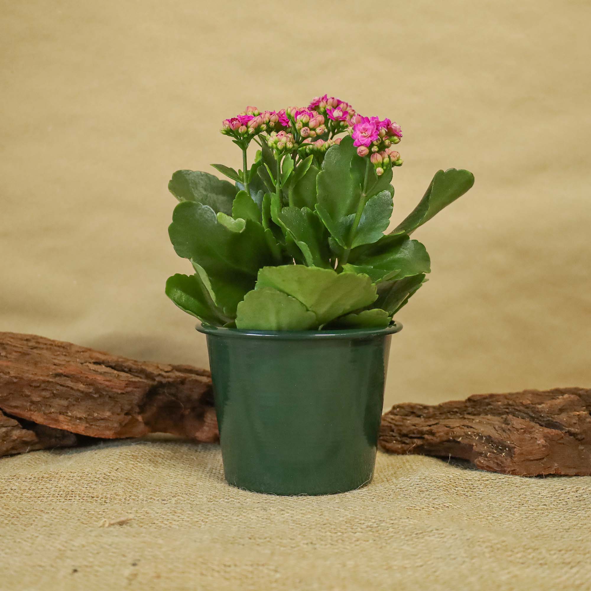 5949062706633_4.jpg 5b878639802249a14ac052e6b8f9f2f7