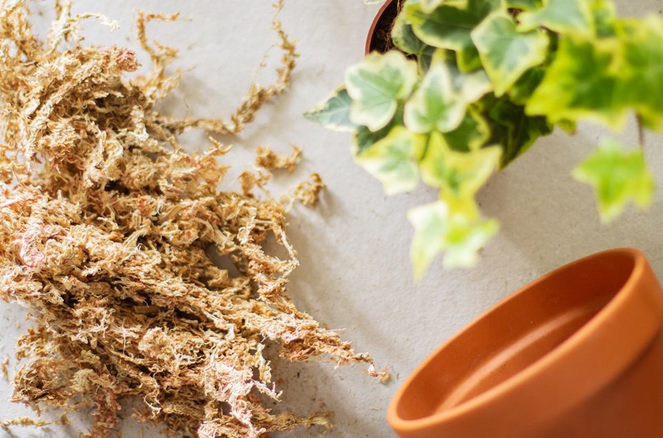 5949062790014_3.jpg cc210c53bec89d52ad7431b2dfa43b50