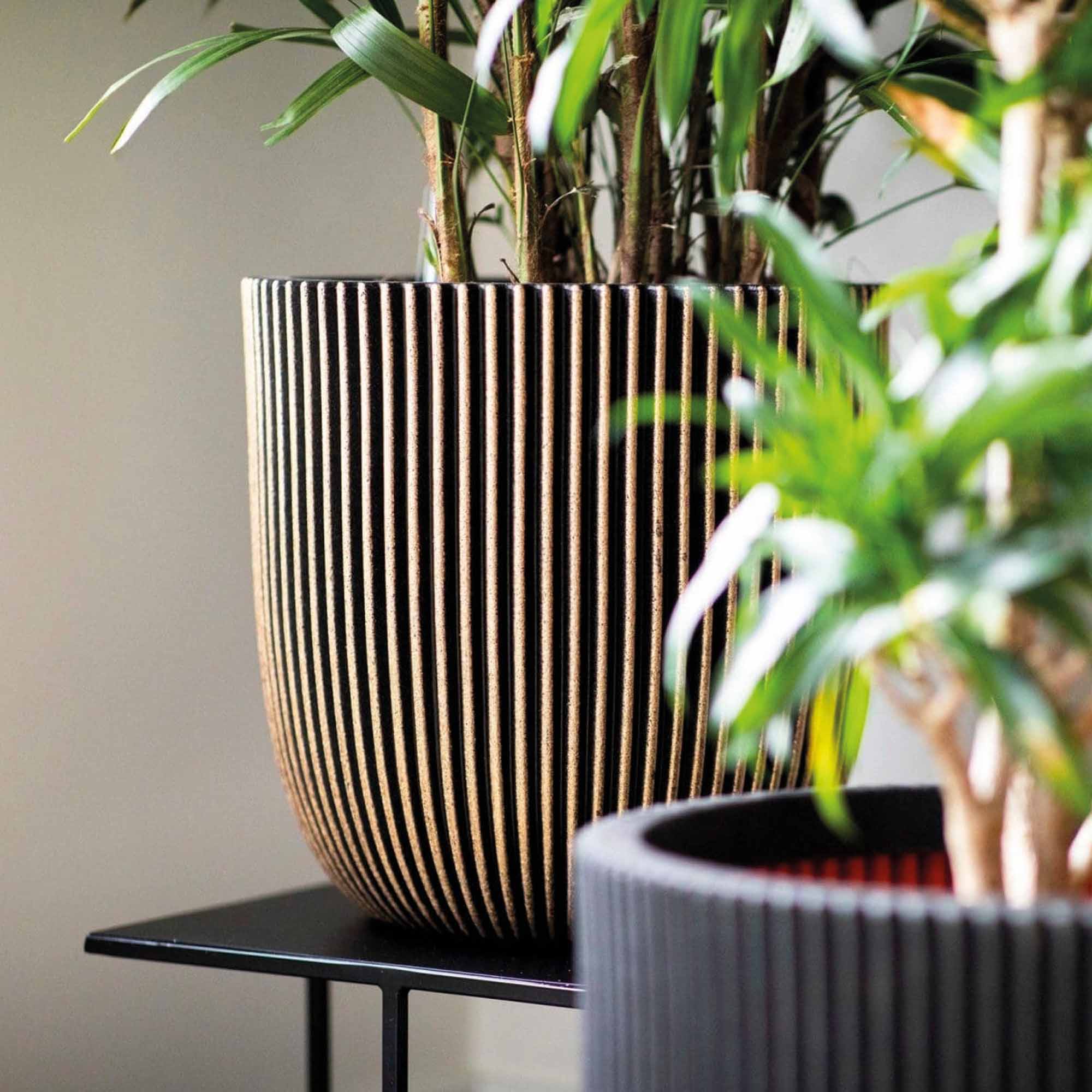 5e83232fed6f6030120d145c344bfb22.jpg 184c7cf57f40ae590fa49e664bde14df