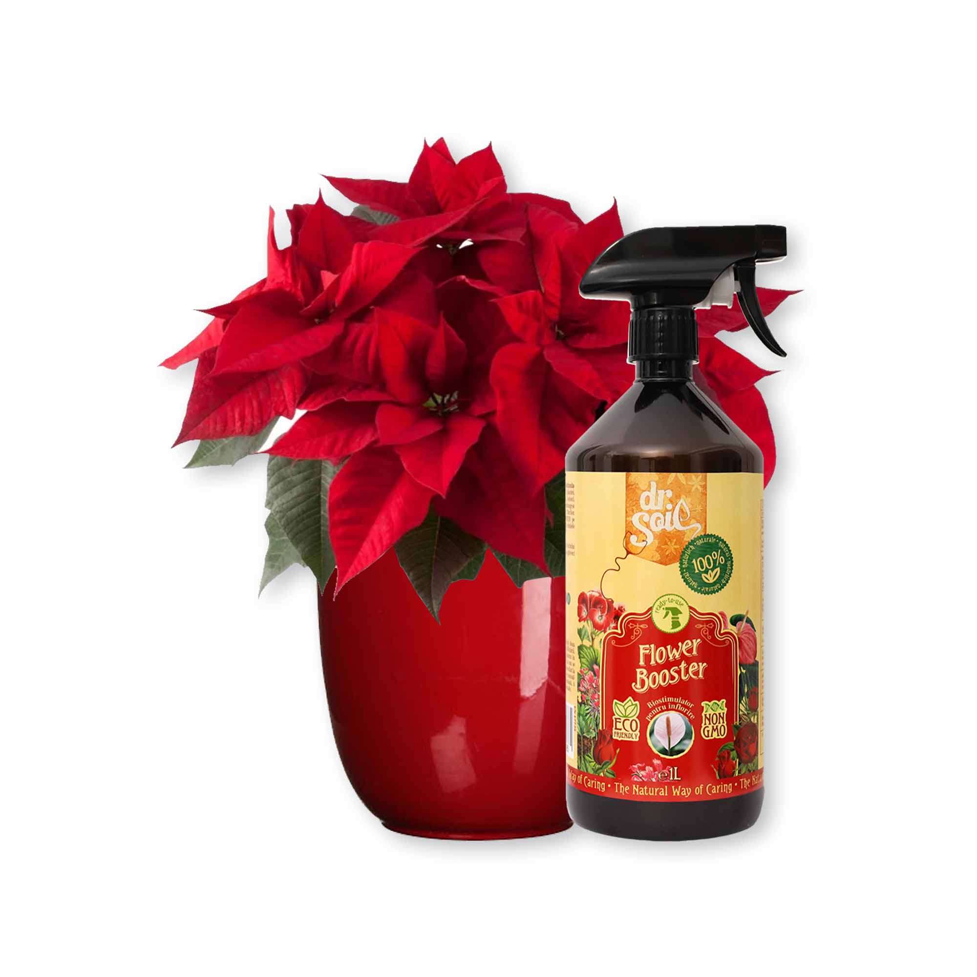 Pachet pentru ingrijirea plantelor cu flori la ghiveci cu biostimulator pentru inflorire Flower Booster 1L si masca de ghiveci rosu cu diametrul de 14,5cm