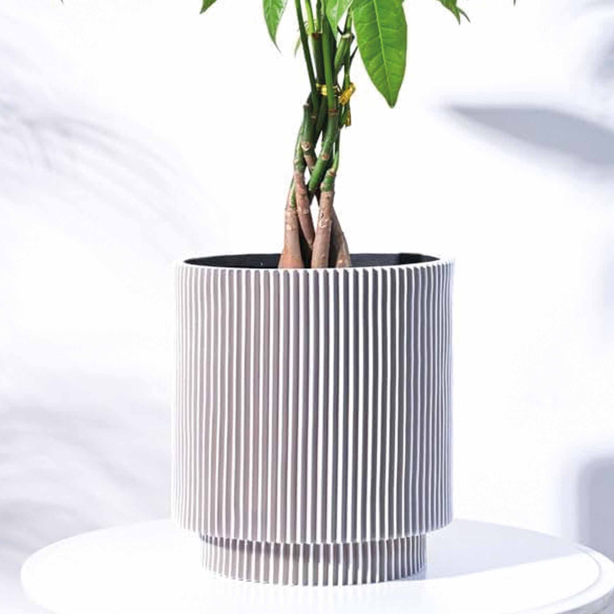 c4fd26d991c20920edfa08887fd85c50