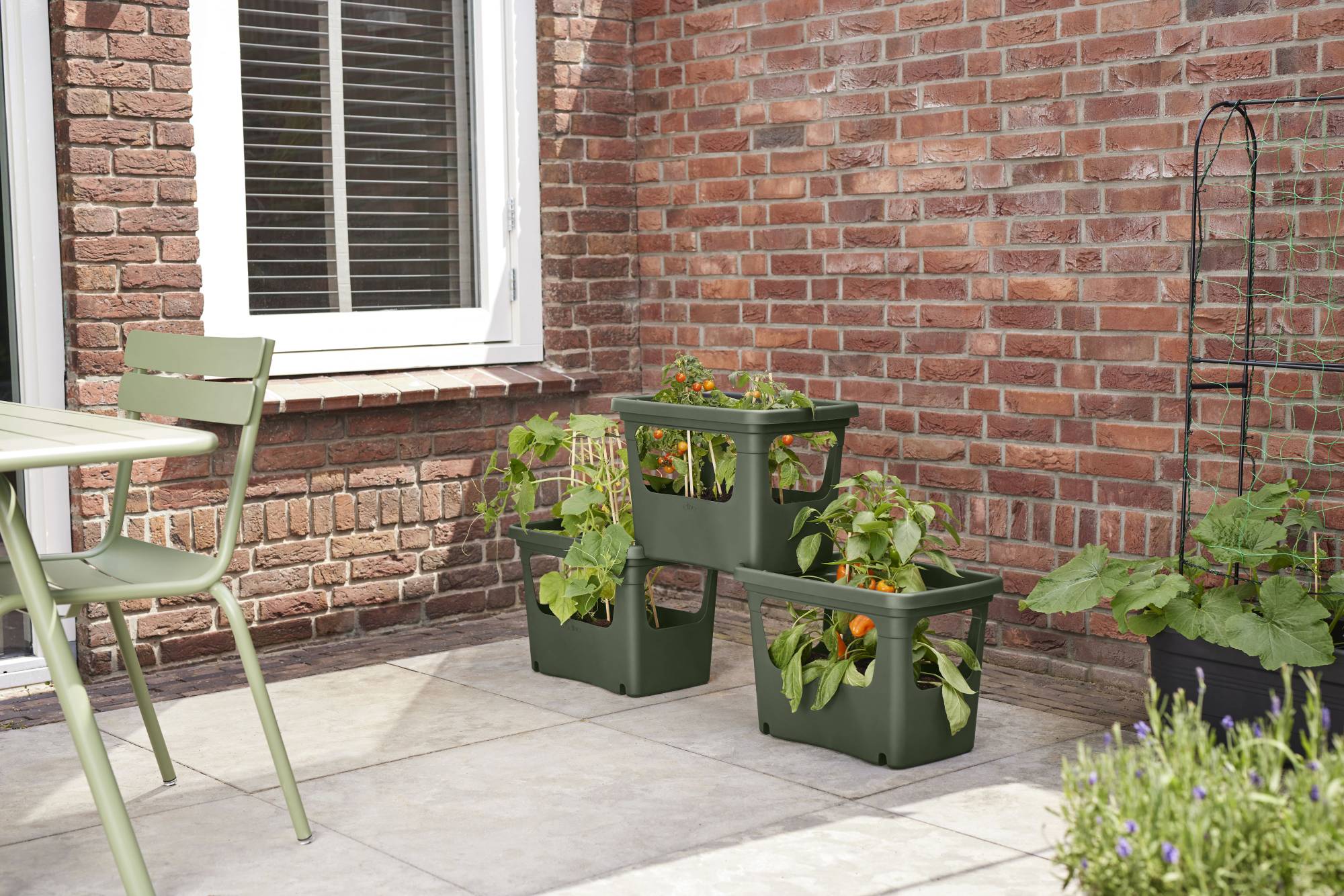 6693505036000_-_8711904494469_-_gb_stack__and__grow_lgreen.i2.jpg 8522a247389080ec16c3239468ae2745